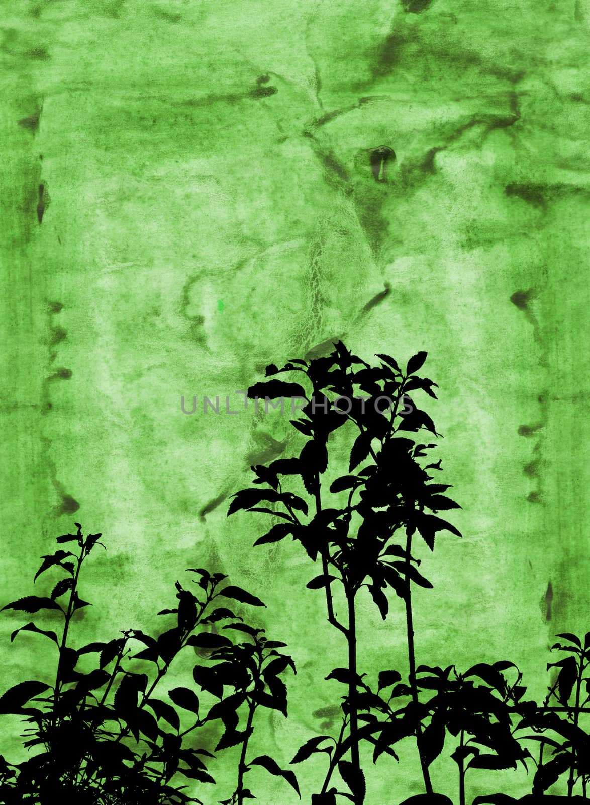 Silhouette of foliage on grunge background