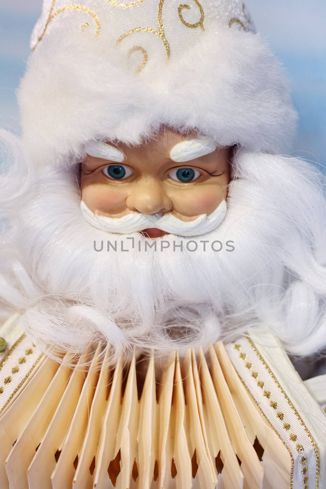 Santa Claus with an accordion close-up