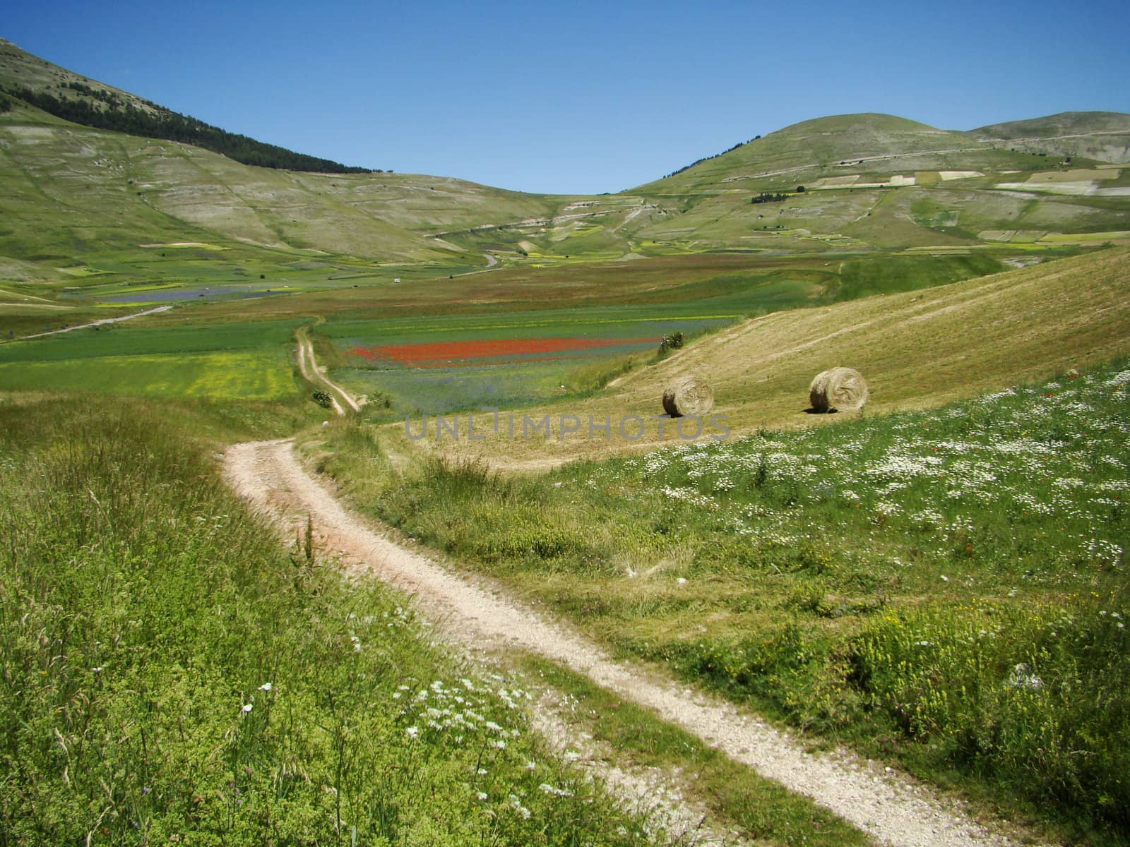 scenery of Piano Grande (Great Plateau) in Sibillini Mountains, central Italy.