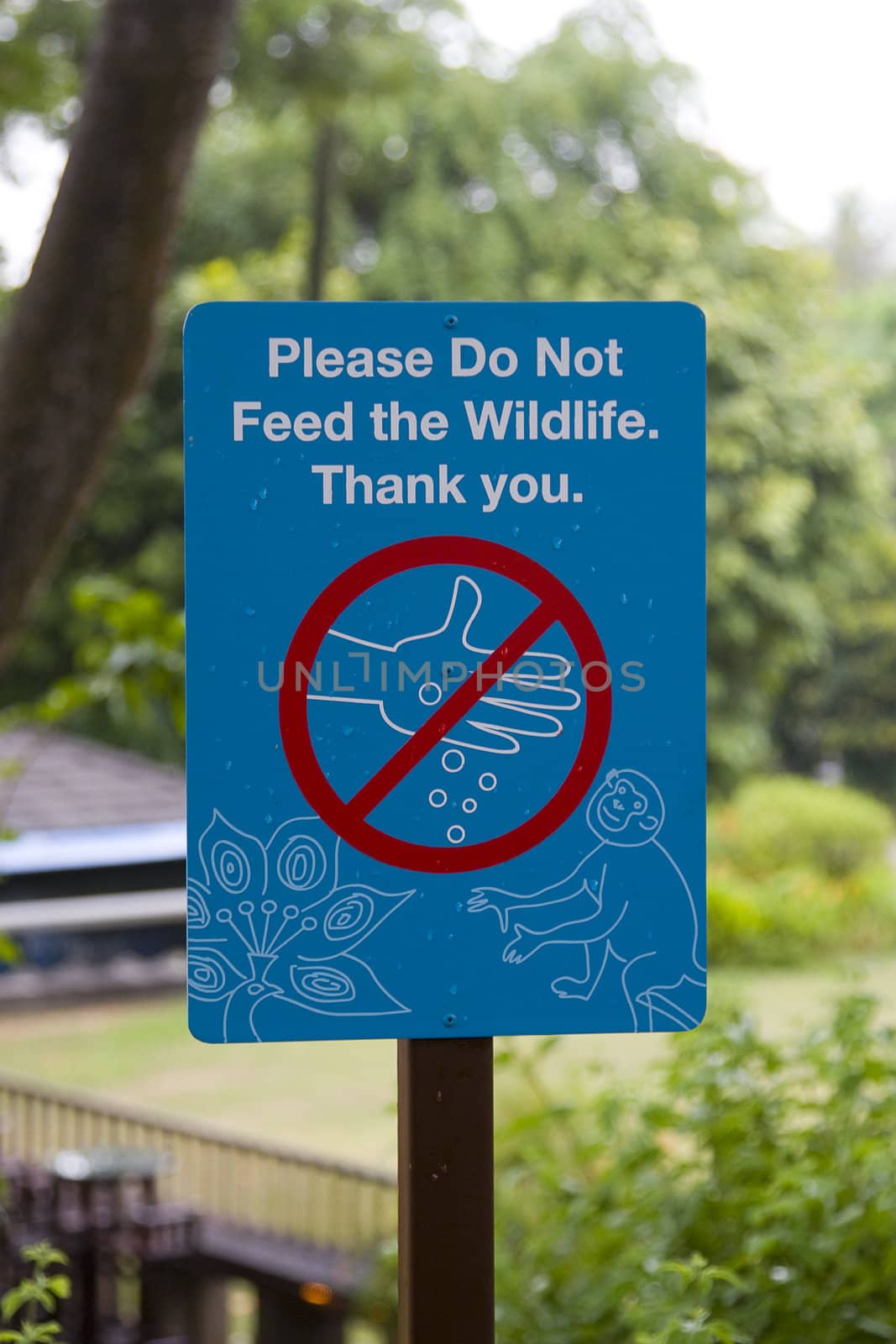A sign stating that you should not feed the wildlife. 