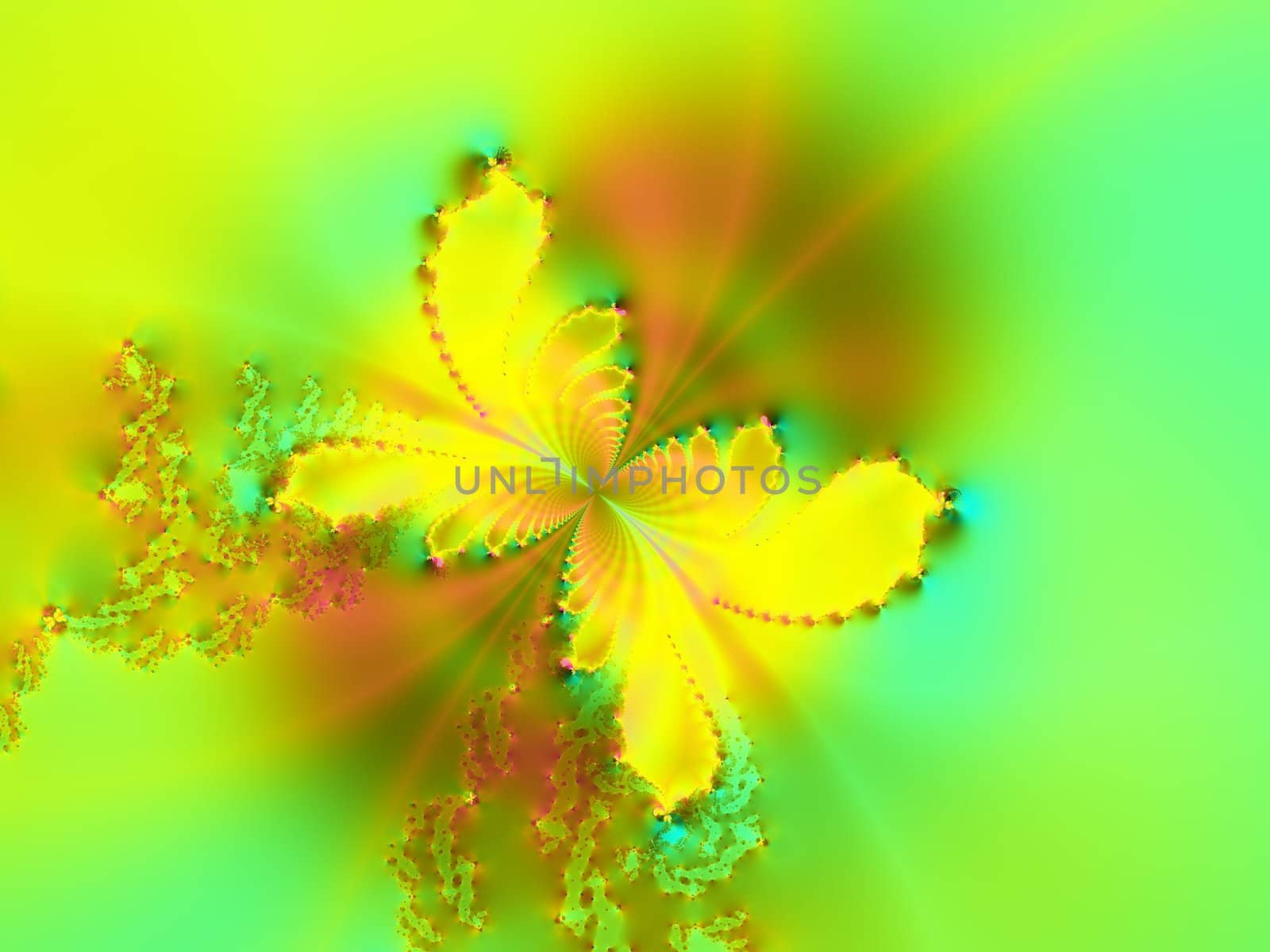 fractal butterfly in spring/ summer colors