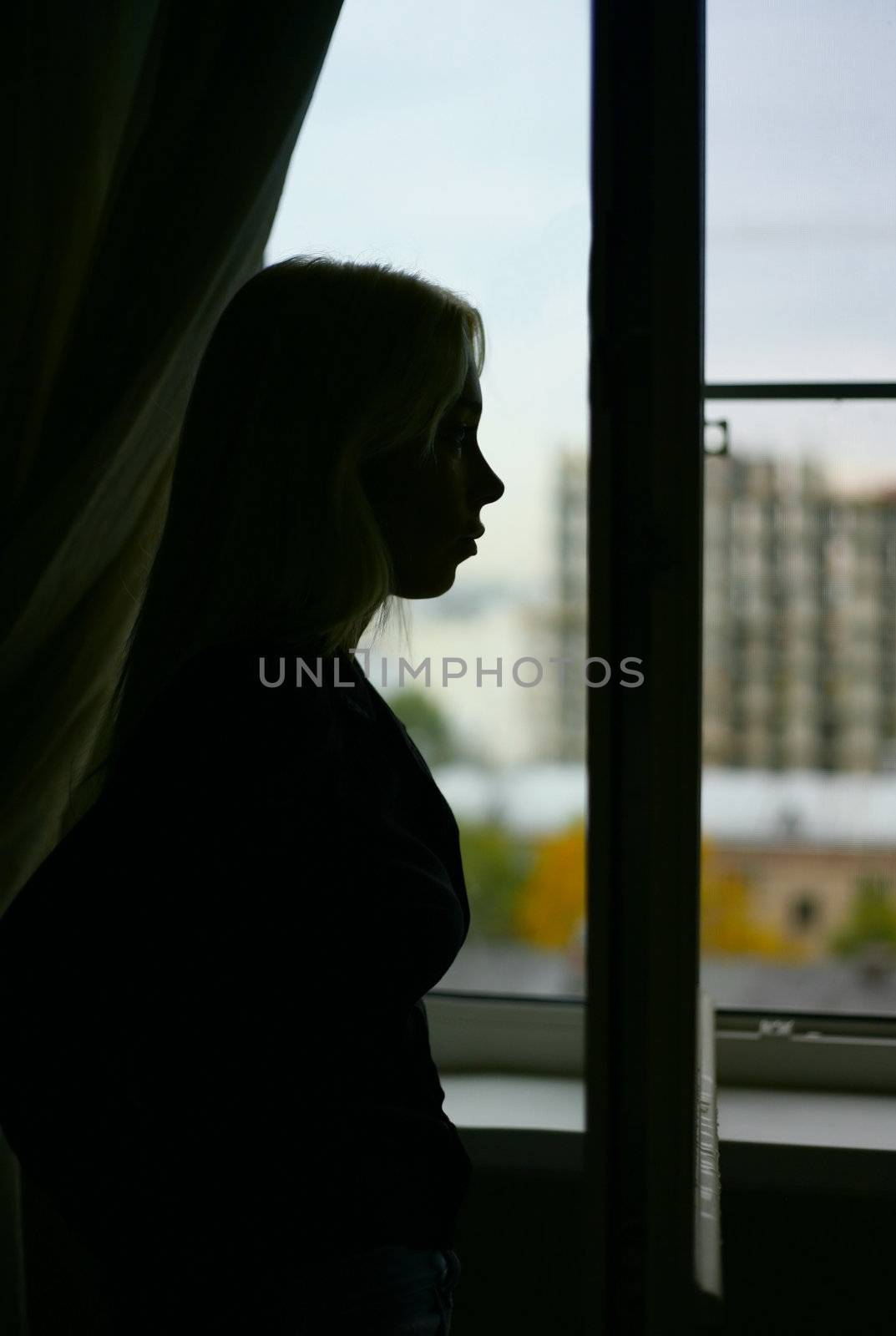 Silhouette of the girl on a background of a window