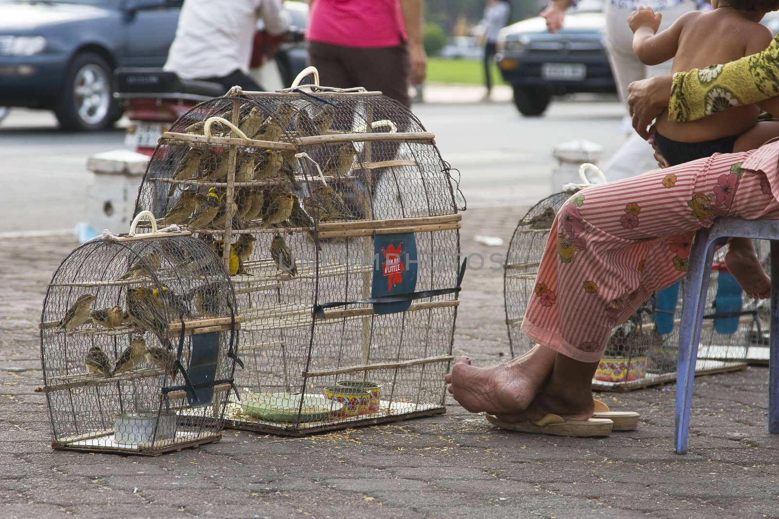 Birds for sale in the busy streets of Phnom Penh. Small animals are usually bought from salespersons on the pavements, and to keep birds are considered good luck in Asian countries. 