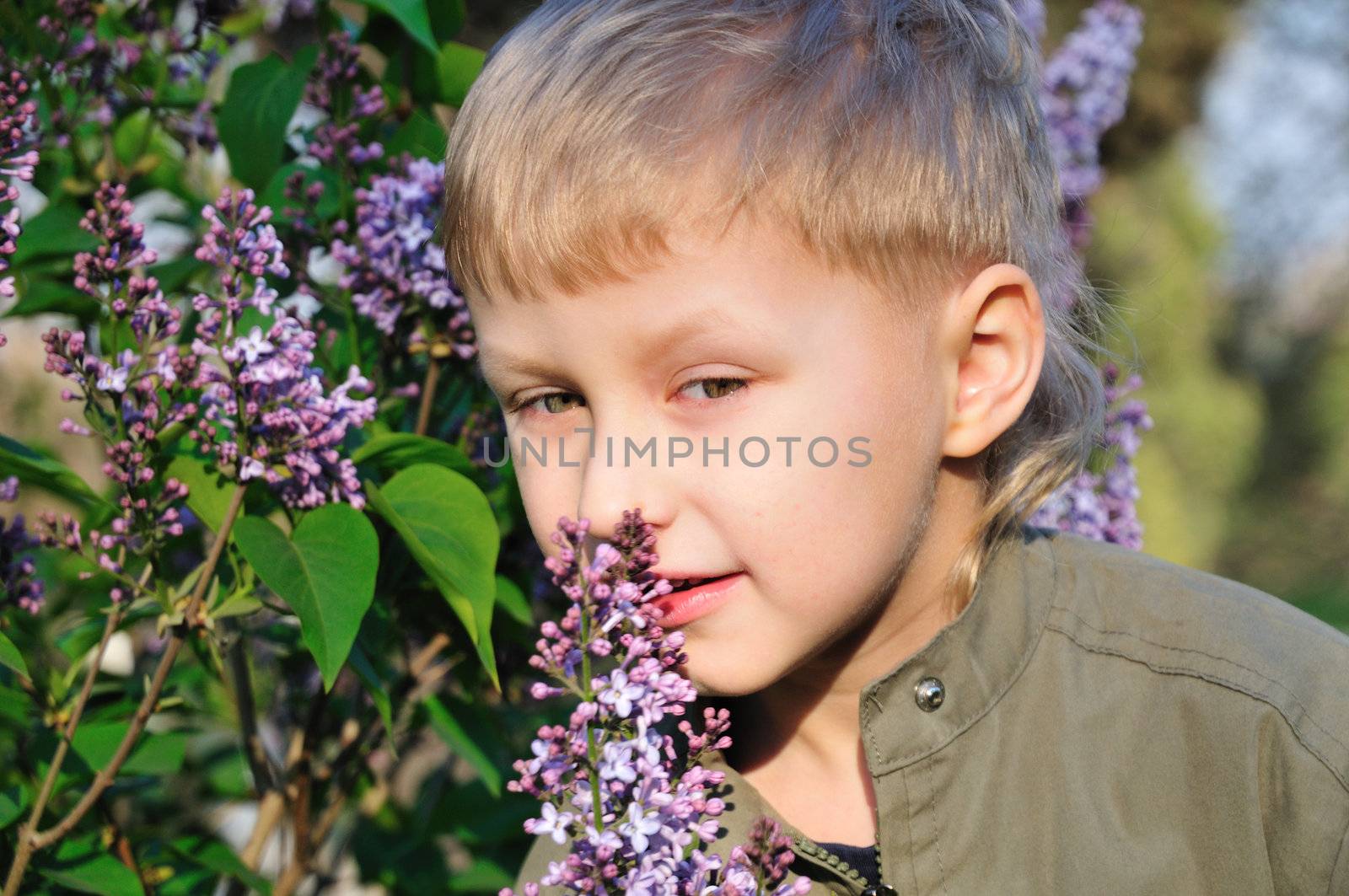 Little blond boy is standing next to the bush of lilac and want to make a little present for mother by Reana