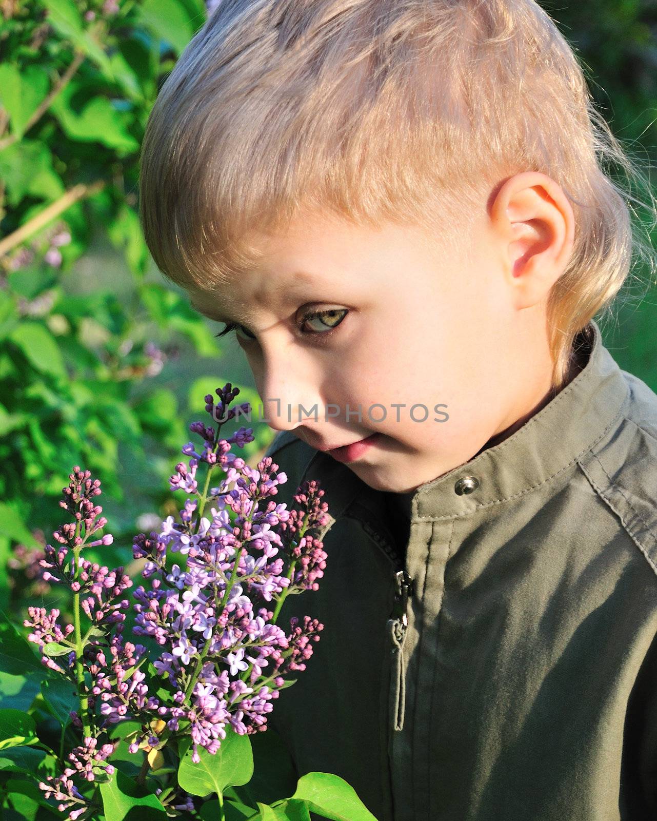 Boy With Lilac for mother by Reana