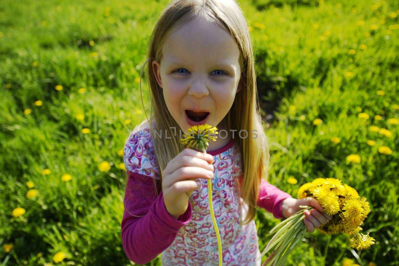 A Little Girl on a maedow by OliverHelbig