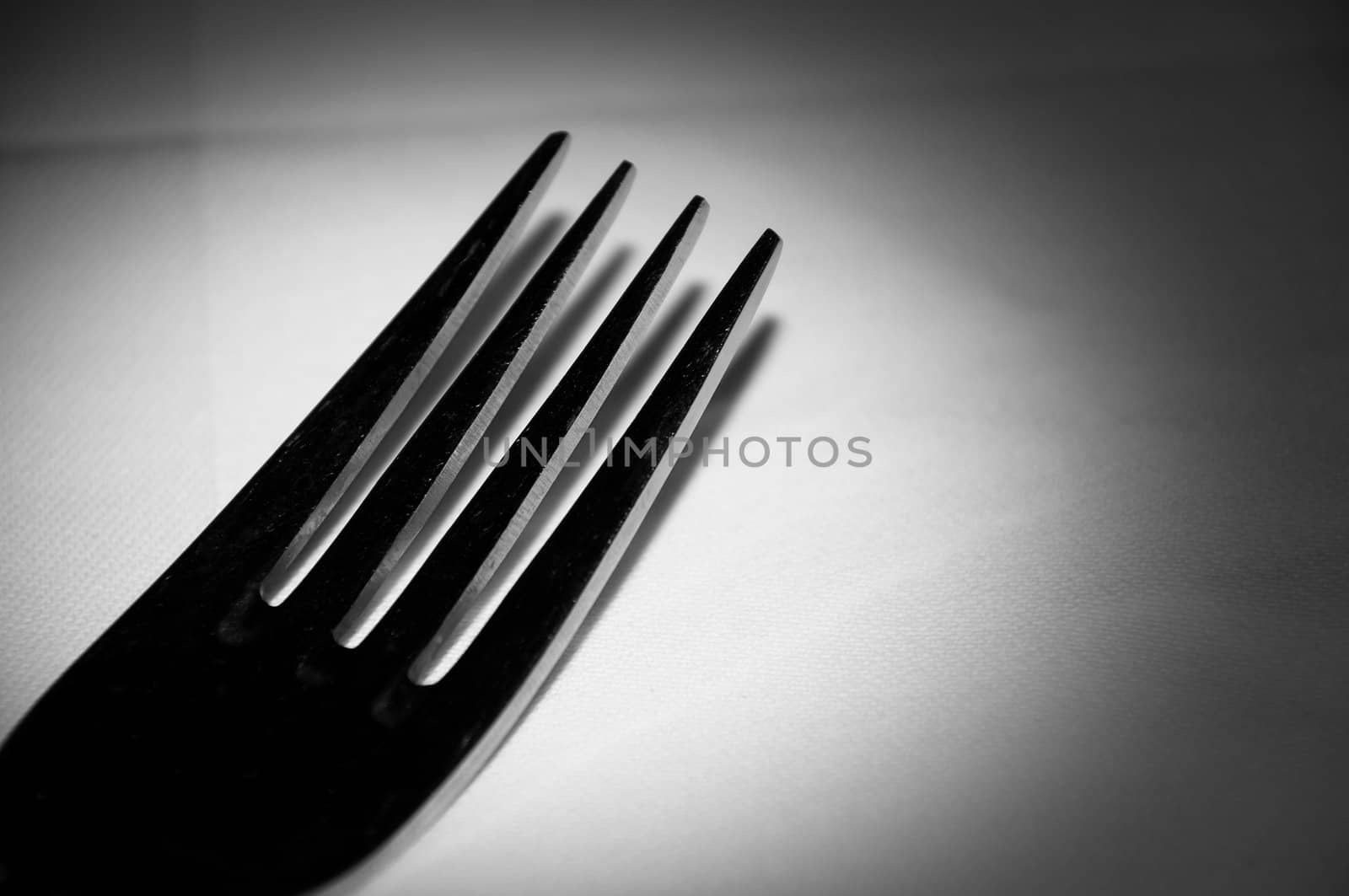 Single fork - black and white image