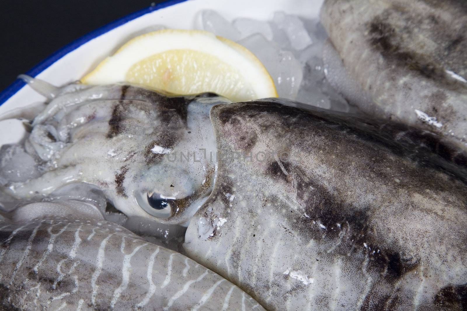 Detail on a squid on ice with lemon 