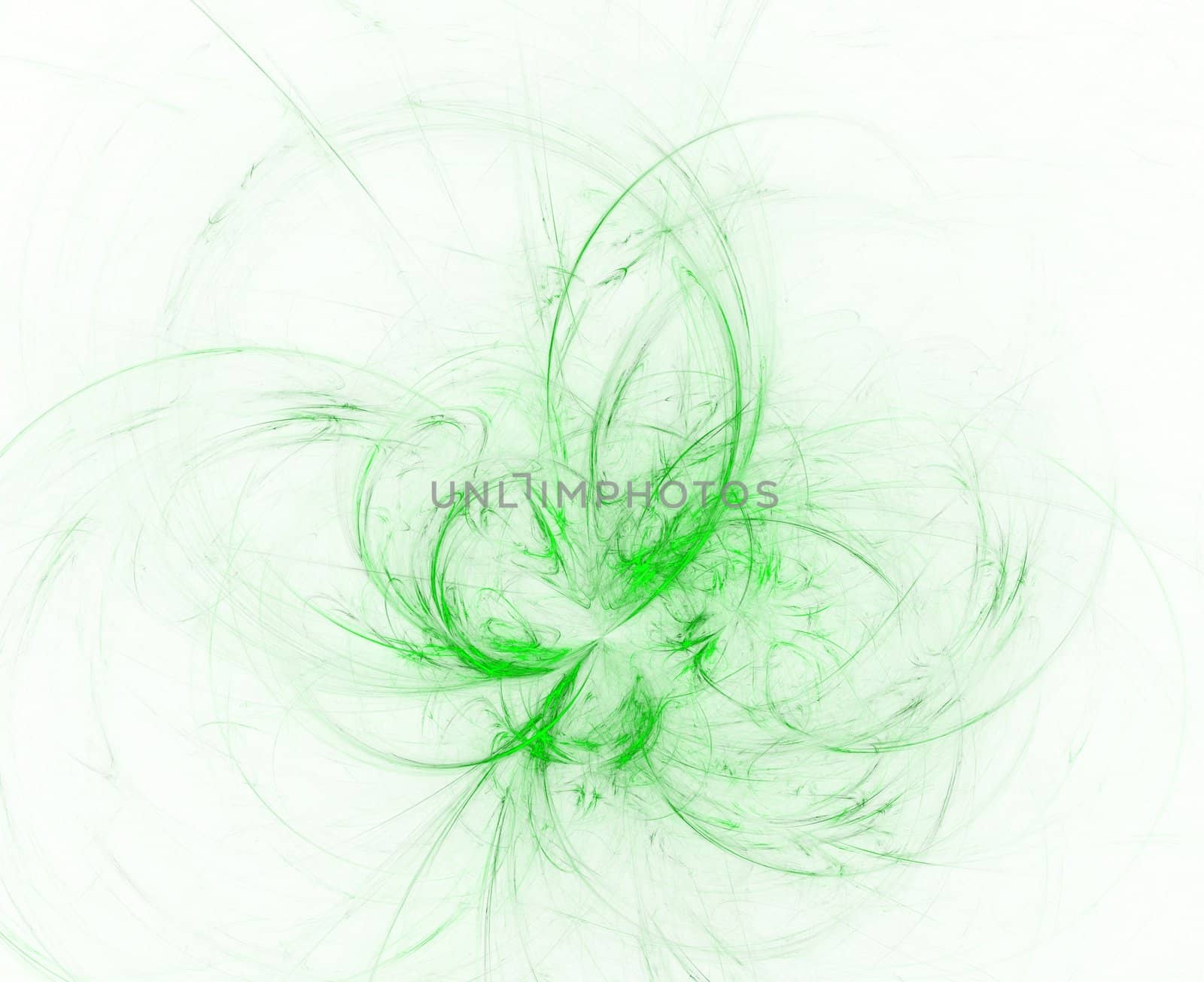 decorative green fractal swirl over white