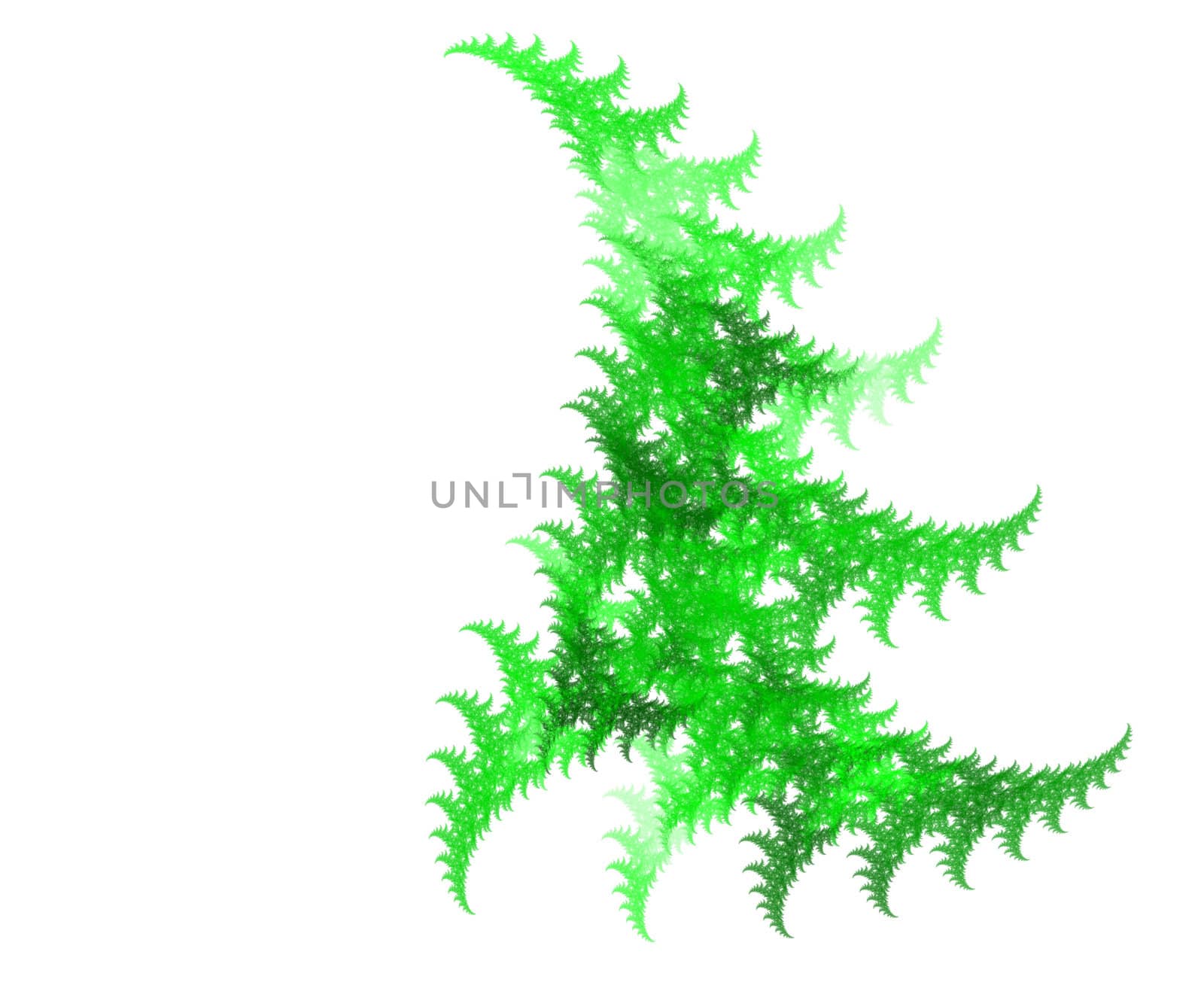 isolated high res fractal, abstrat tree, plenty of copy space at left side