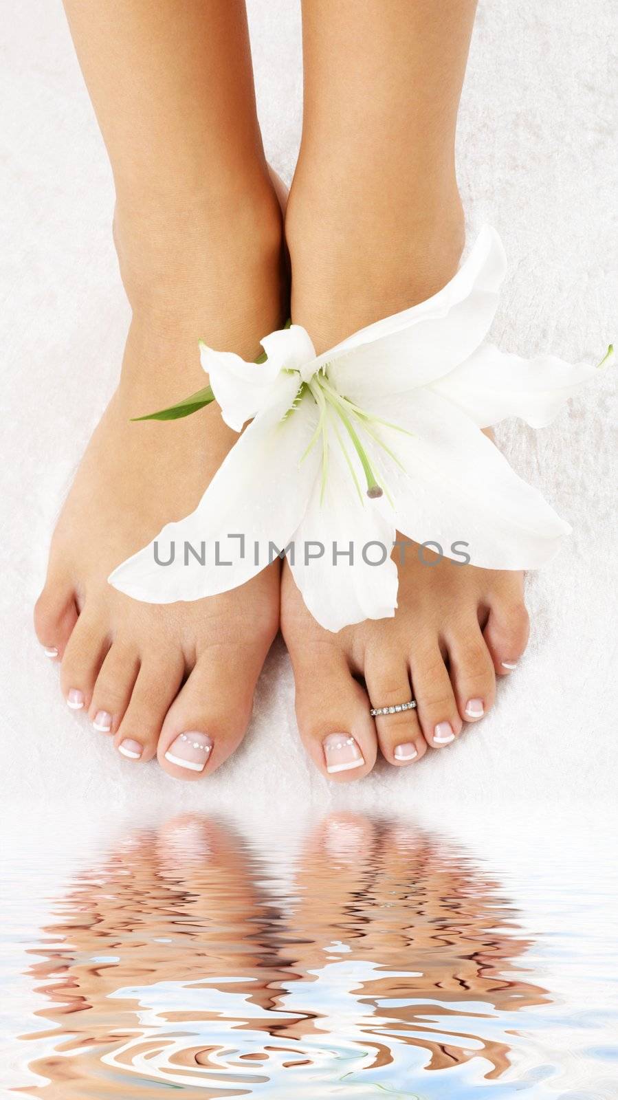 feet with madonna lily and water by dolgachov