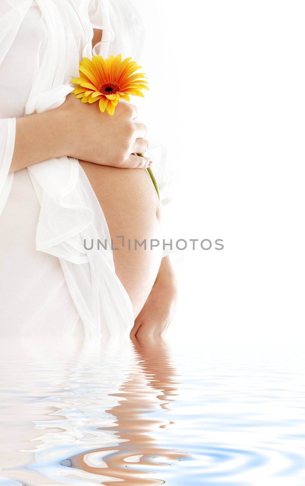 pregnant woman holding her belly and yellow flower in water