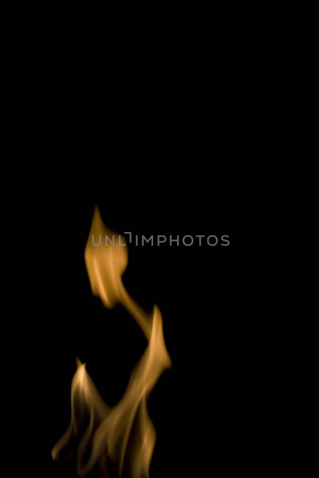Real fire flames by Arsen