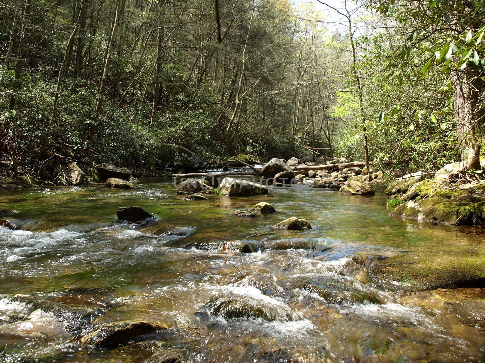 A fast moving creek in rural North Carolina