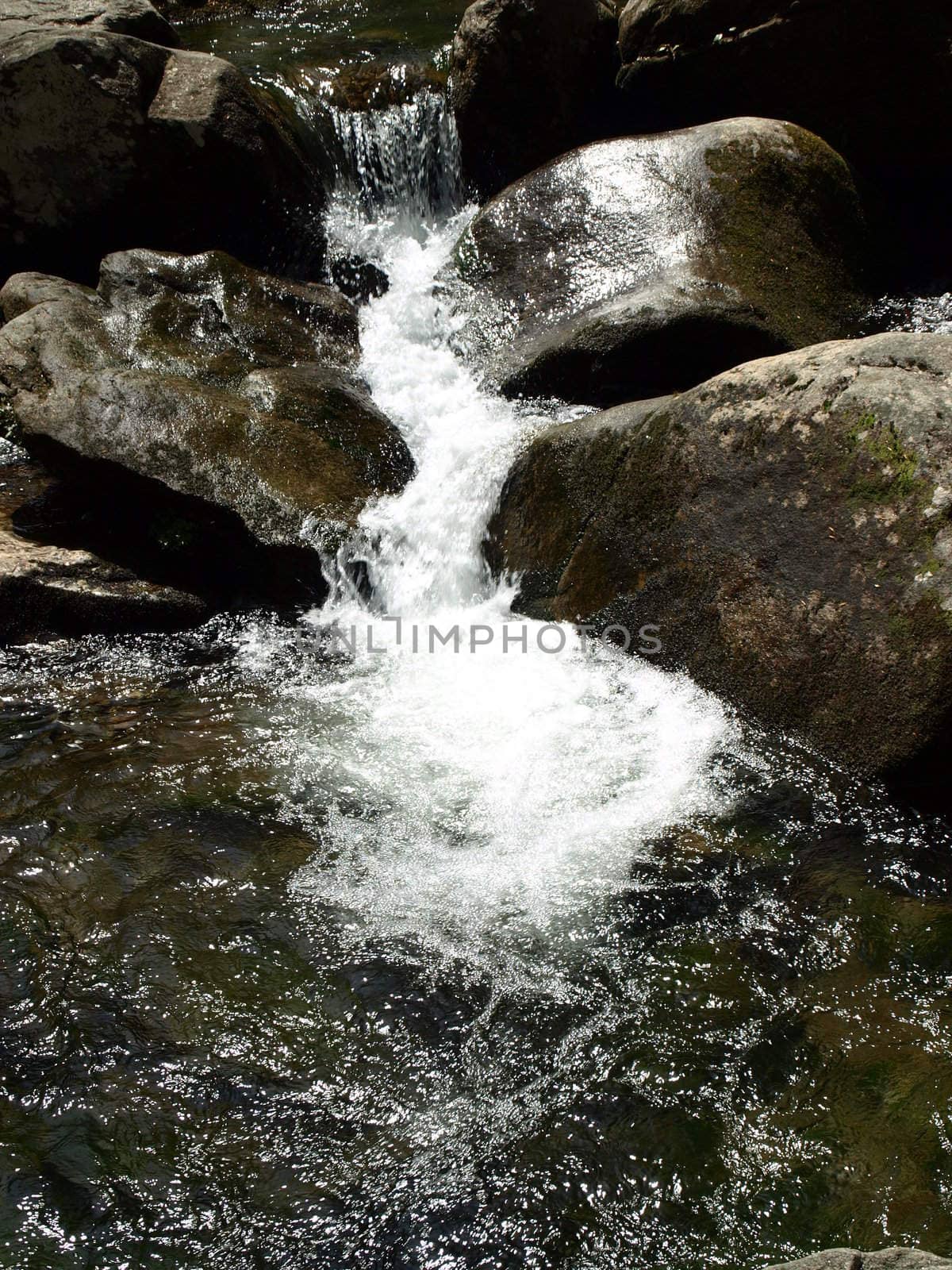 Fast flowing water in a rural North Carolina stream
