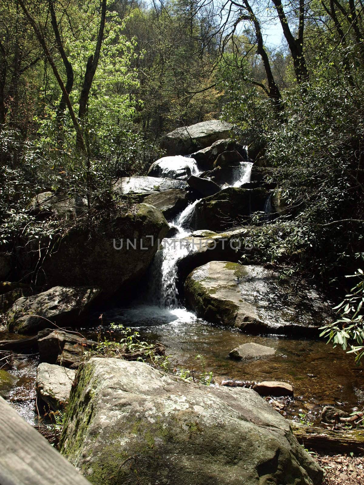 A fast flowing stream in rural North Carolina