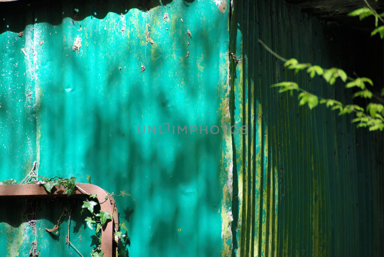 Old rusting tin shed in woodland miles from anywhere