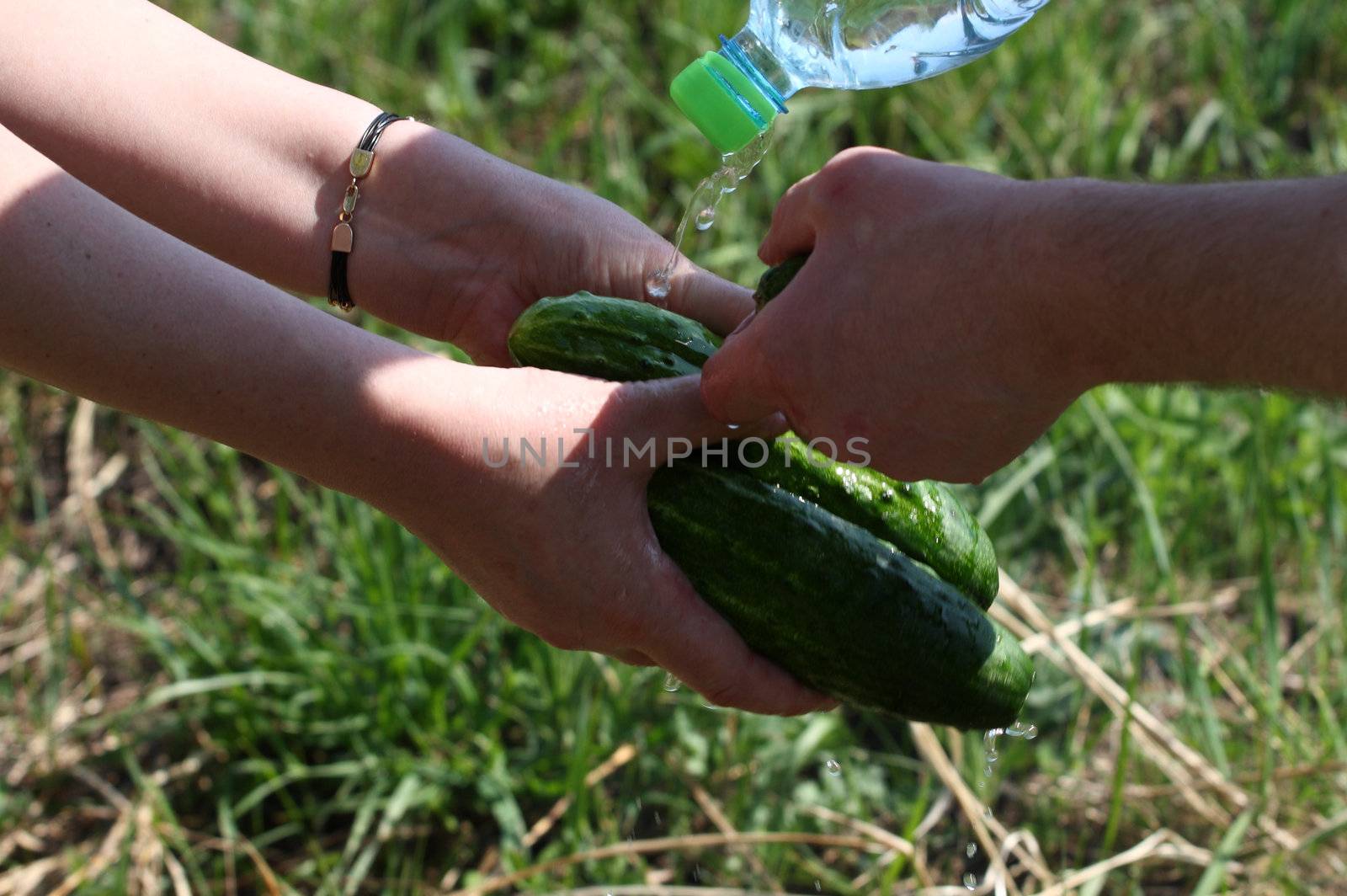 Washing of cucumbers in the field by fedlog