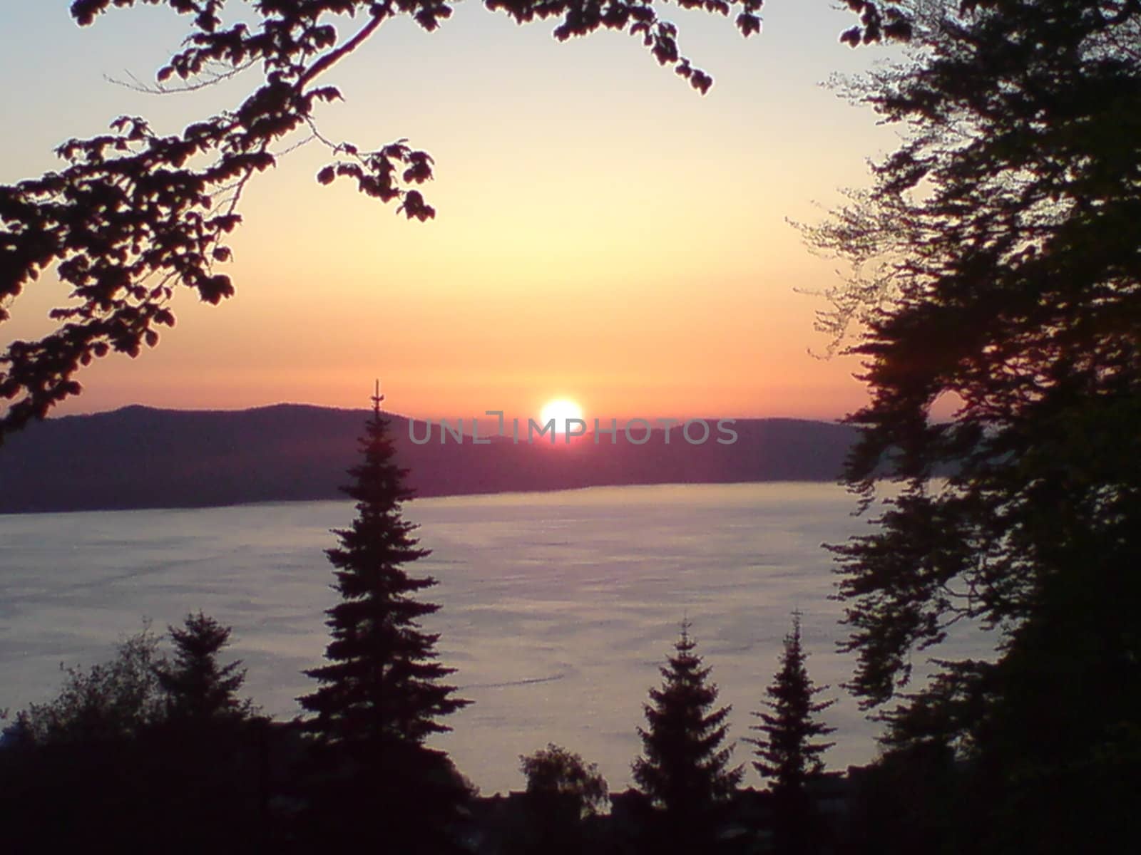 beautiful sunset framed by trees