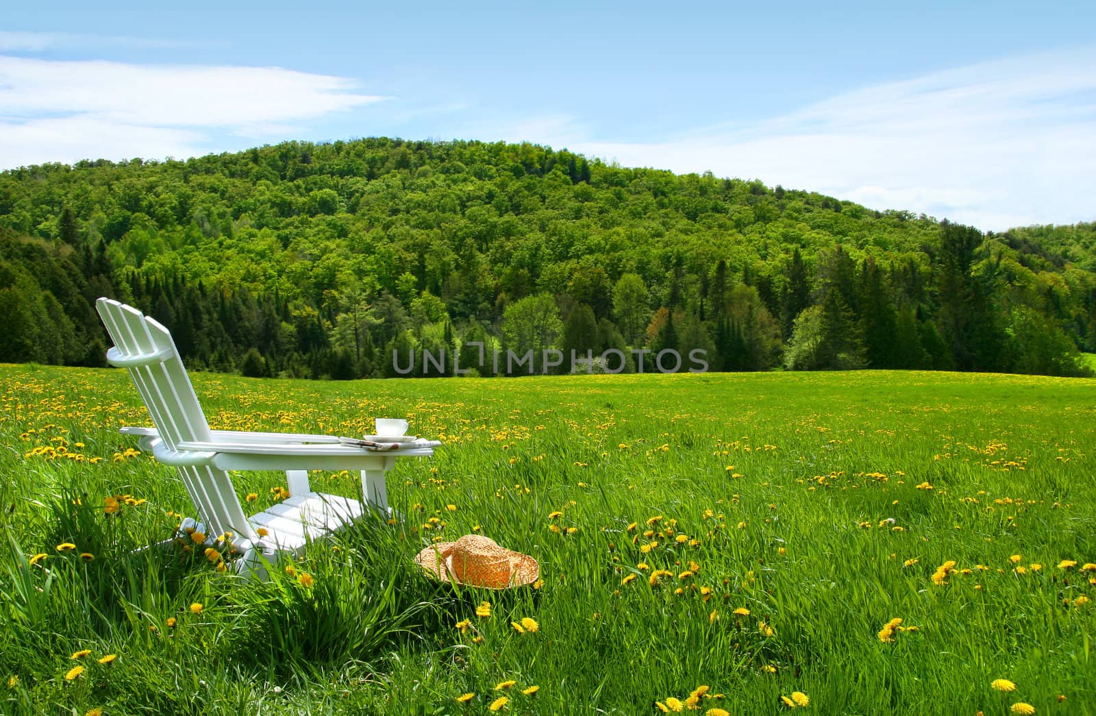 White adirondack chair in a field of tall grass by Sandralise