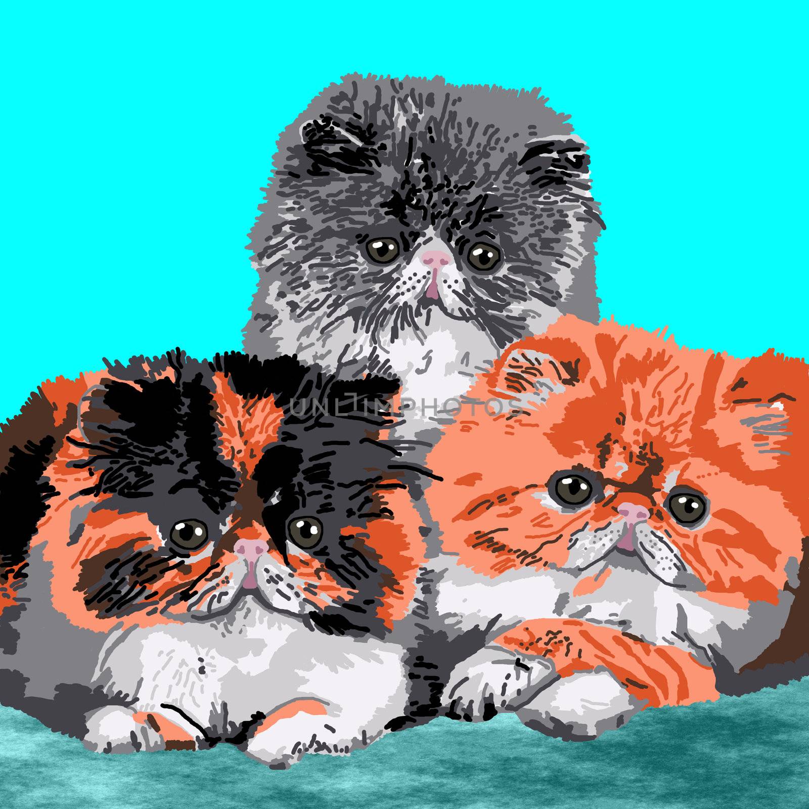 Three Persian Kittens by karensuki