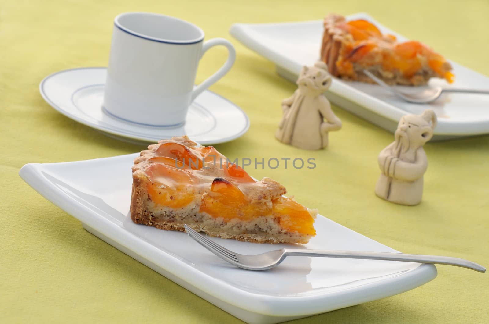 Apricot tart slices on white plate in natural light