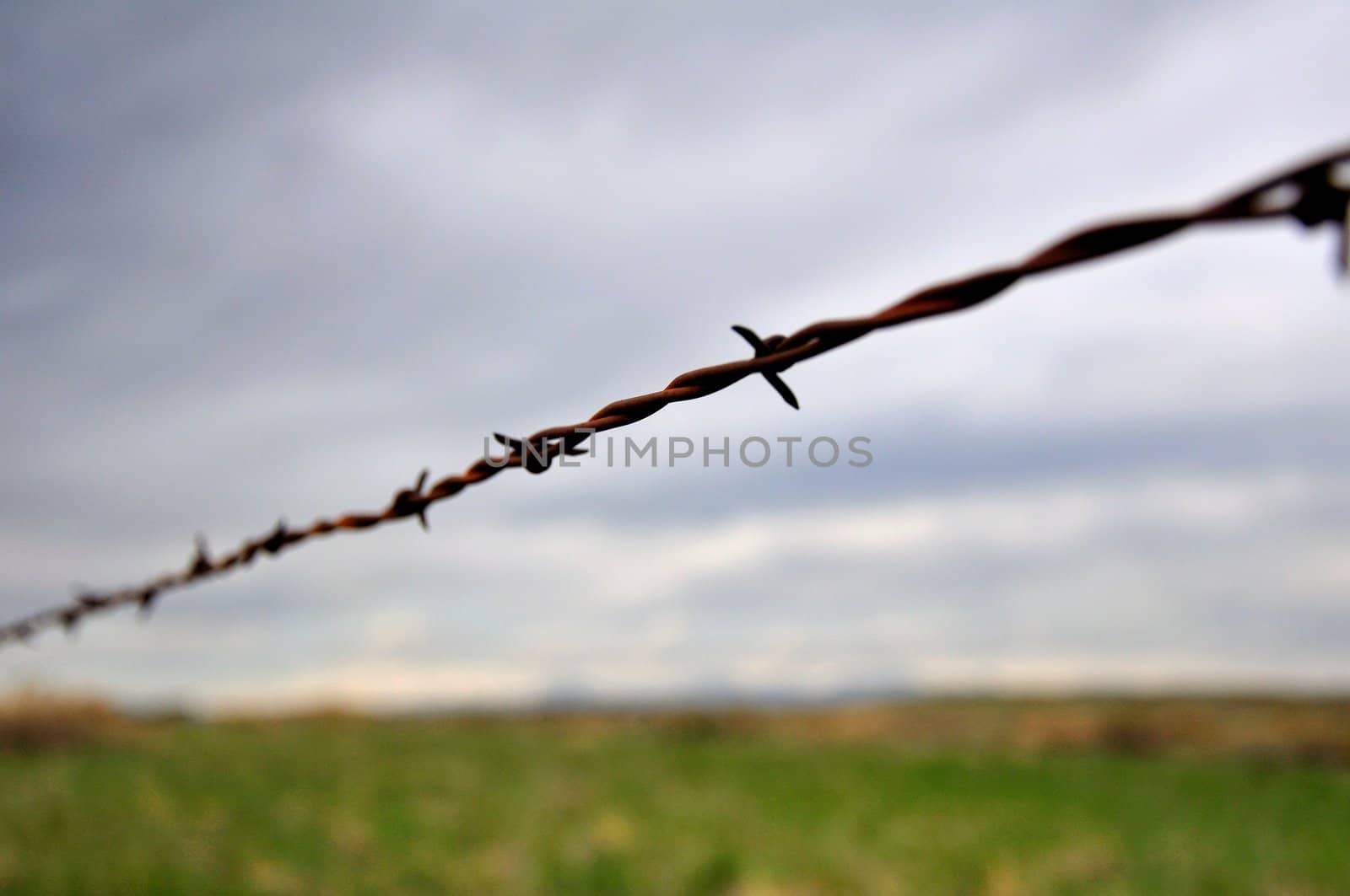 A barbed wire fence stretches out across the sky with a field in the distance.