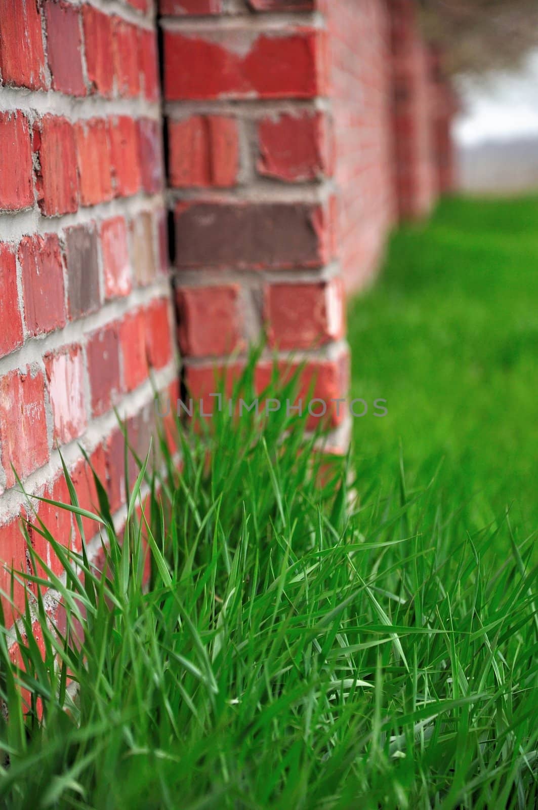 A red brick wall stands out in a field of green grass.