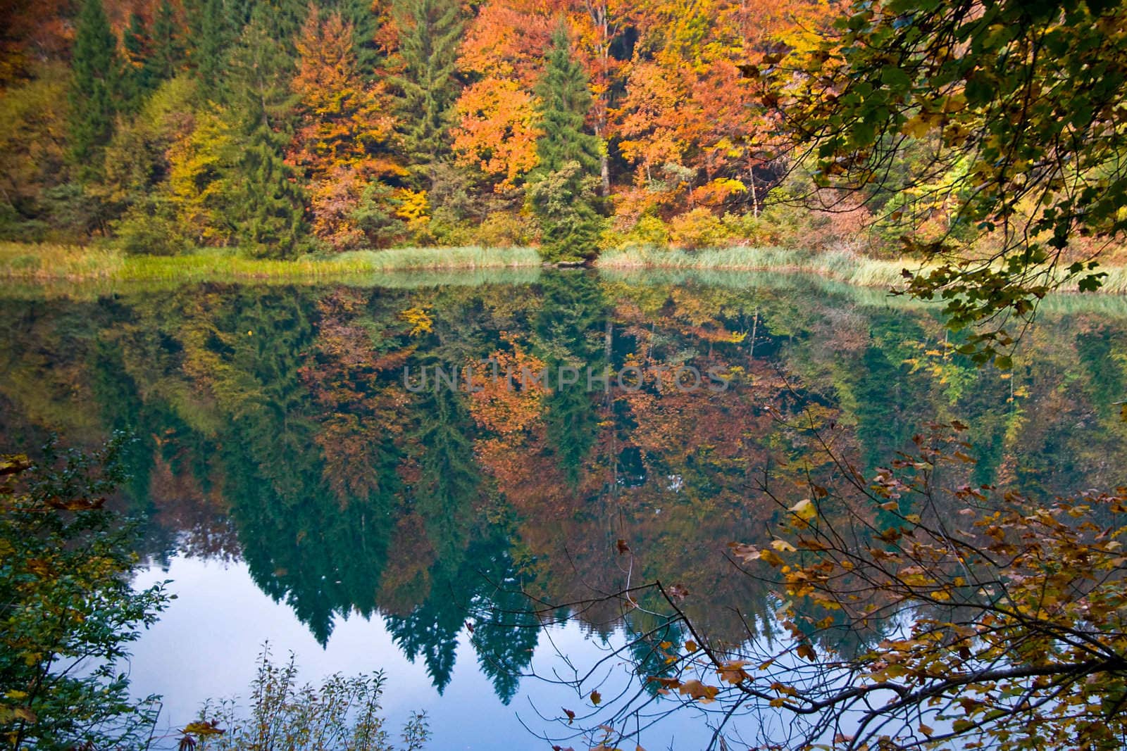 Autumn Lakes on Plitvickimi  by aluminiowy