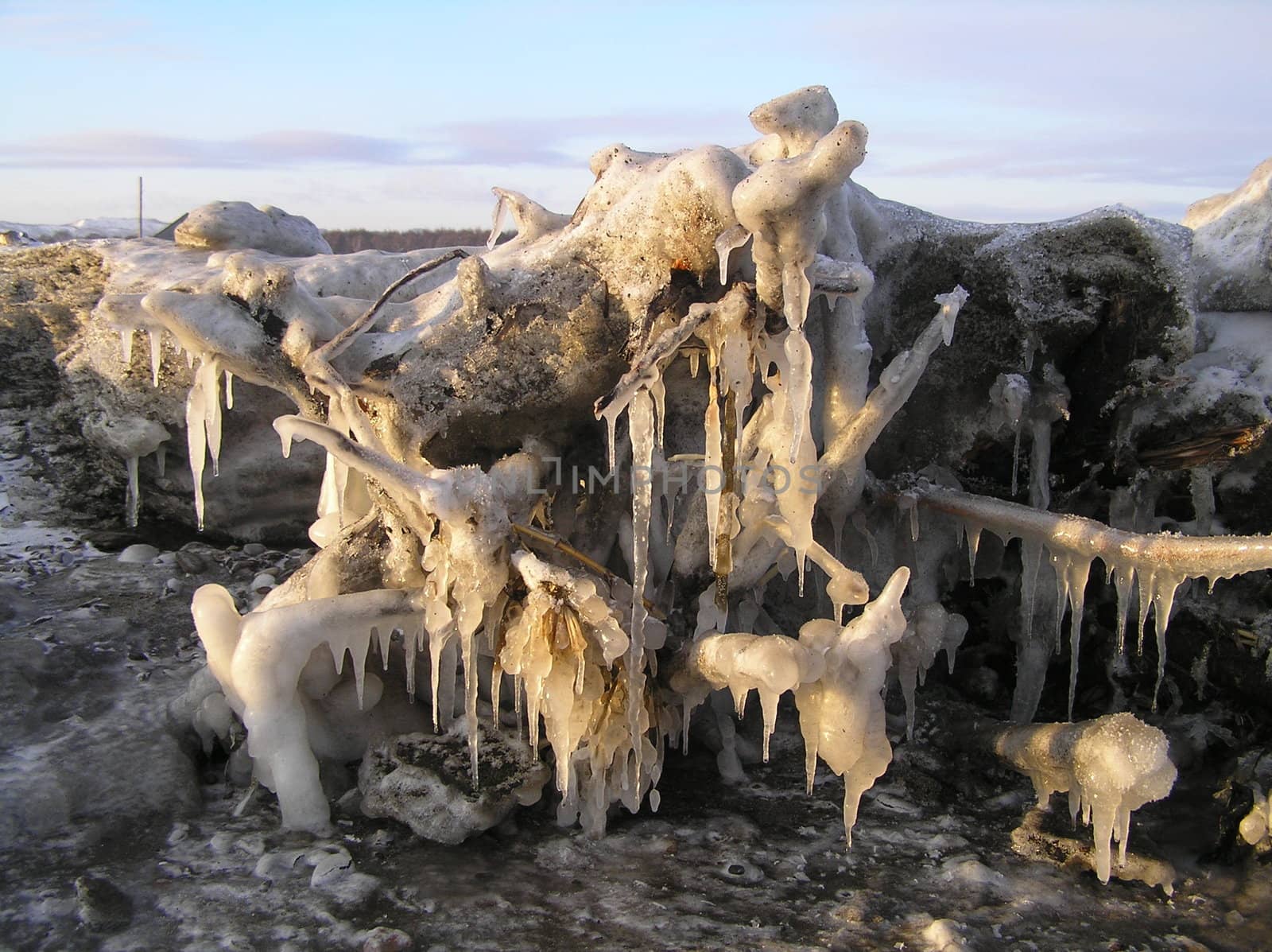 Sakhalin, coast of sea of Okhotsk, snag in ice