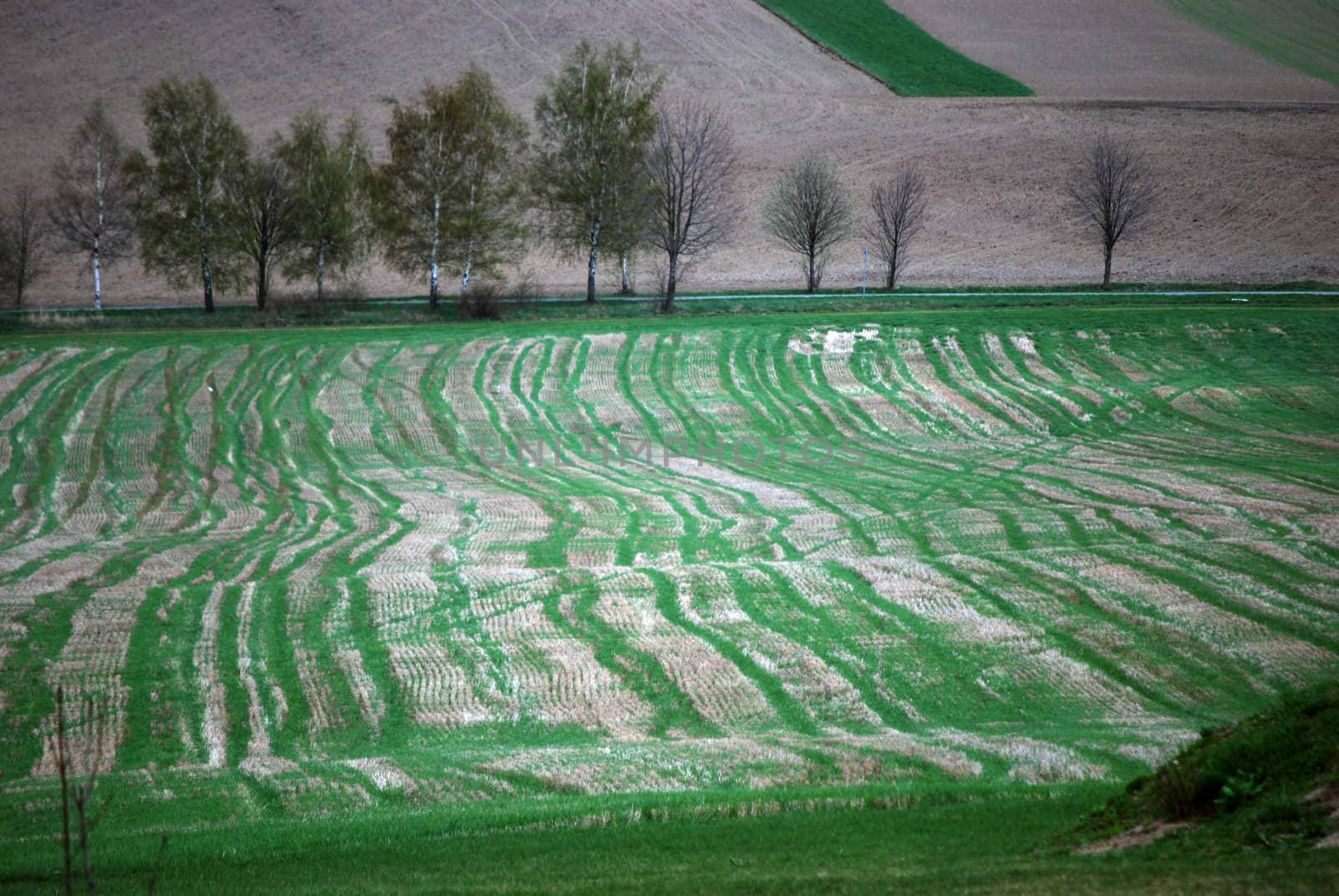 a picture of a czech landscape