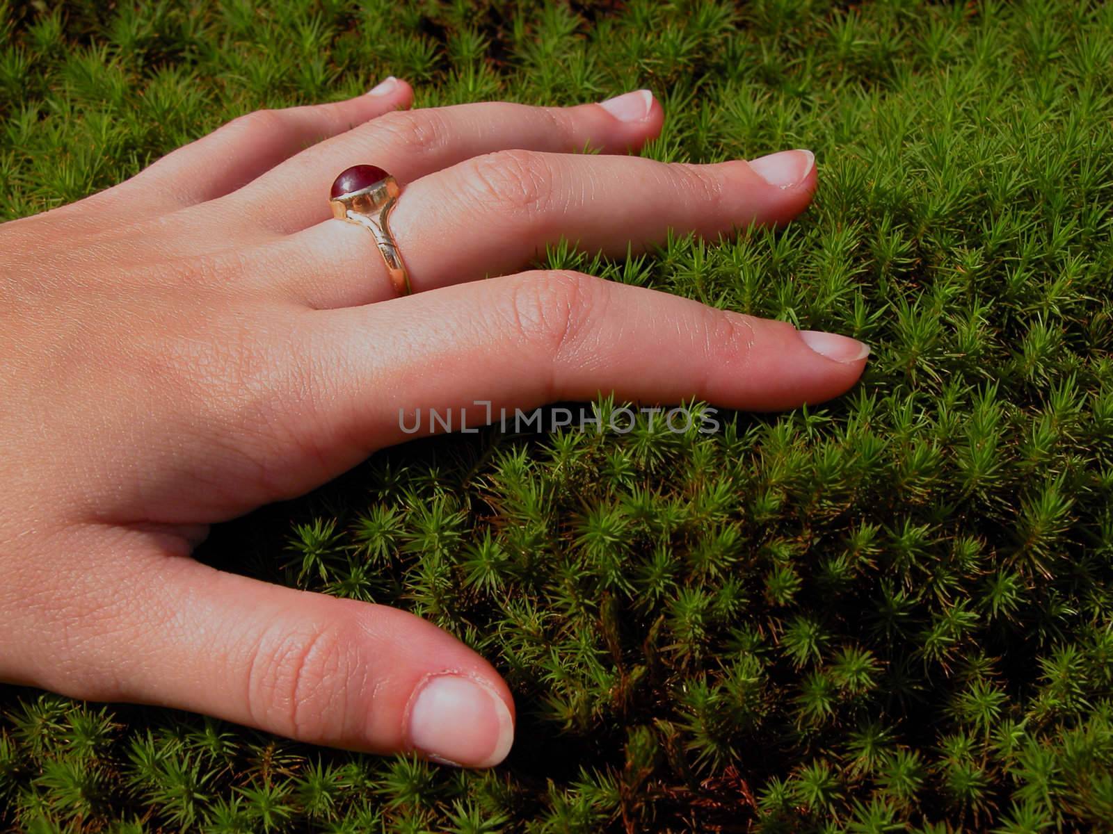 Woman Hand And Moss by RazvanPhotography