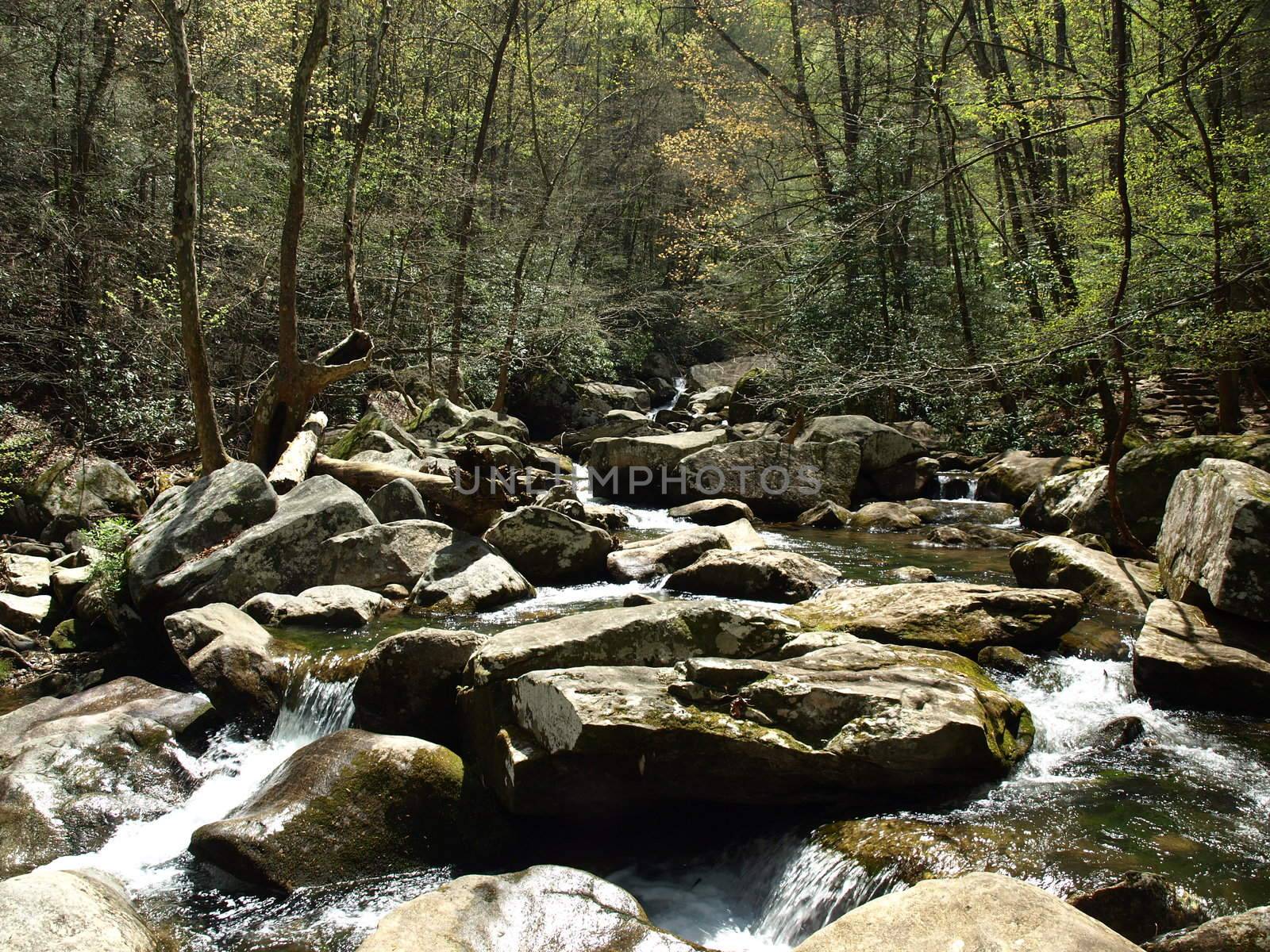 Jacobs Fork River in the spring of the year. The river is located in North Carolina.