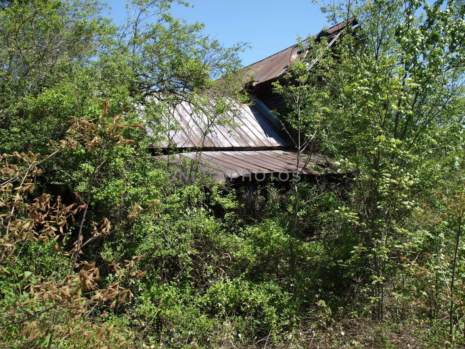 An old hidden barn in rural North Carolina