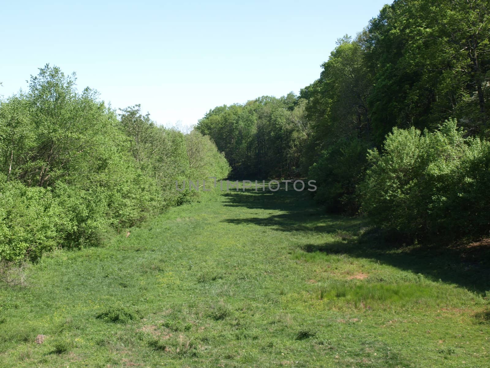 A narrow meadow by northwoodsphoto