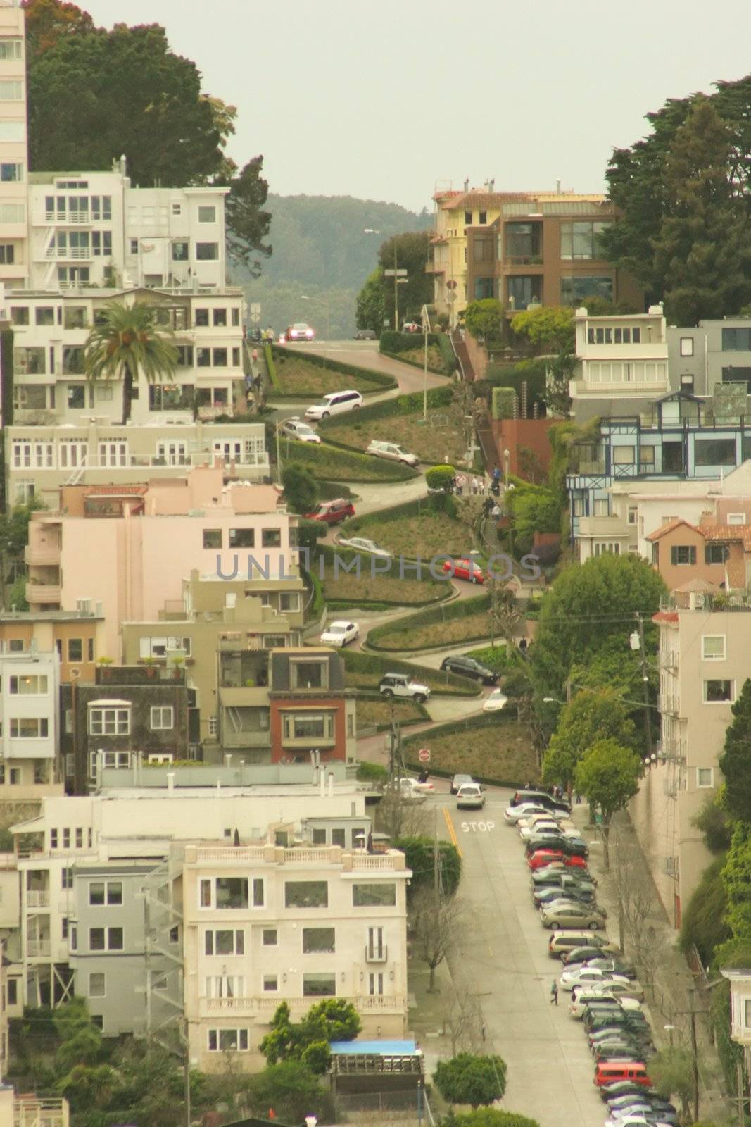 View of Lombard Street, the crookedest street in the world, San Francisco, California