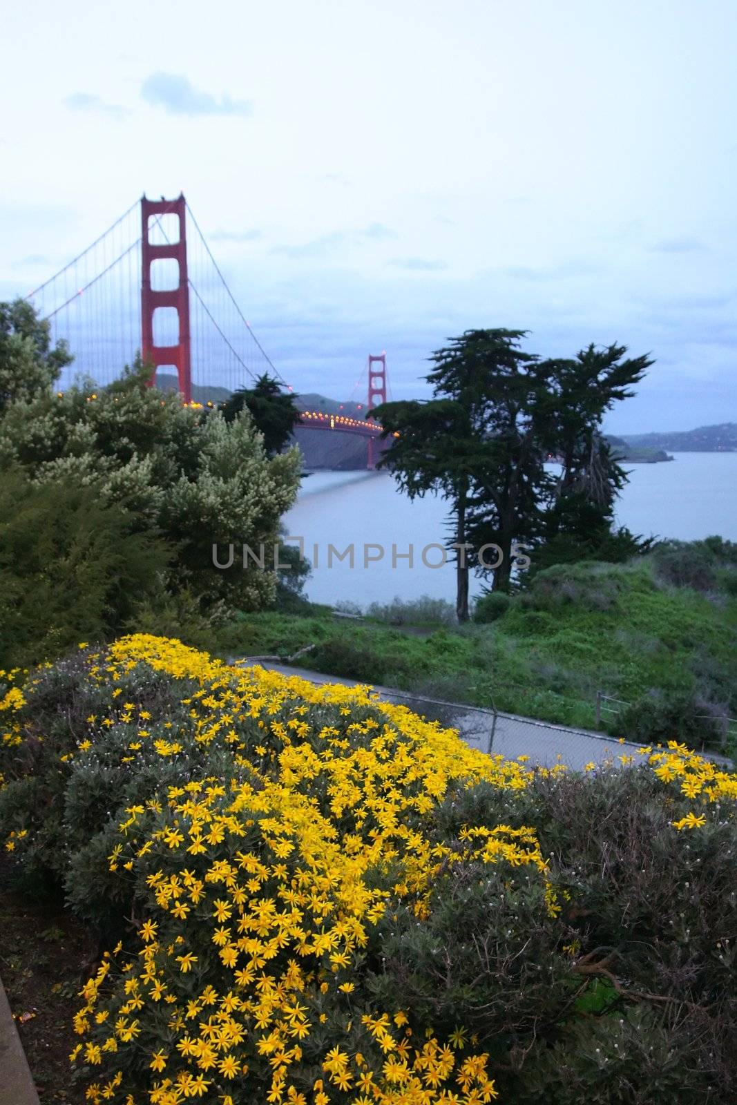 Golden Gate Bridge and Fort Point