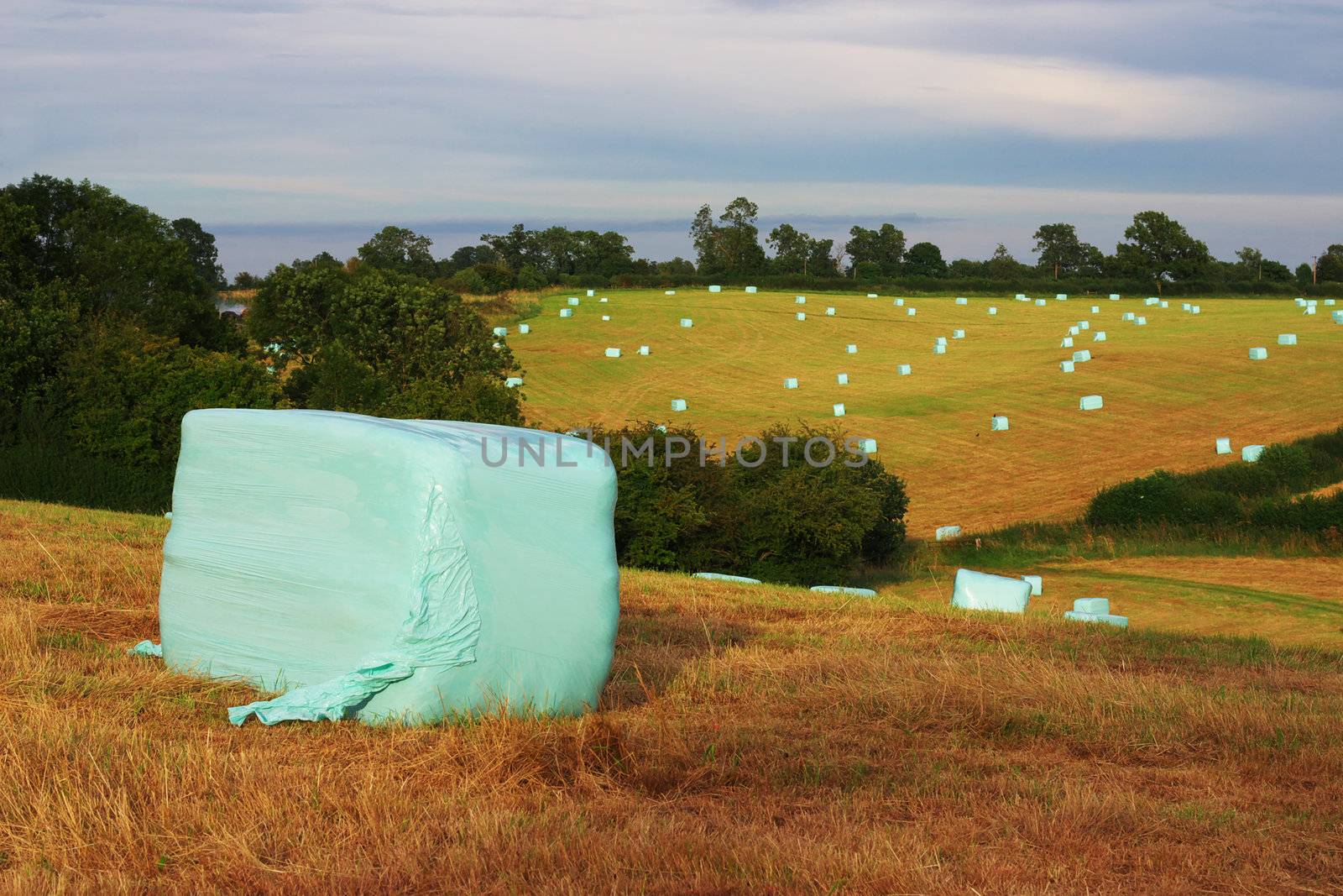 Plastic hay bails landscape by hospitalera