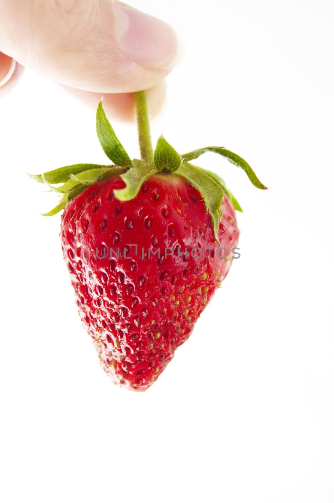 fresh strawberry in hand on a white background