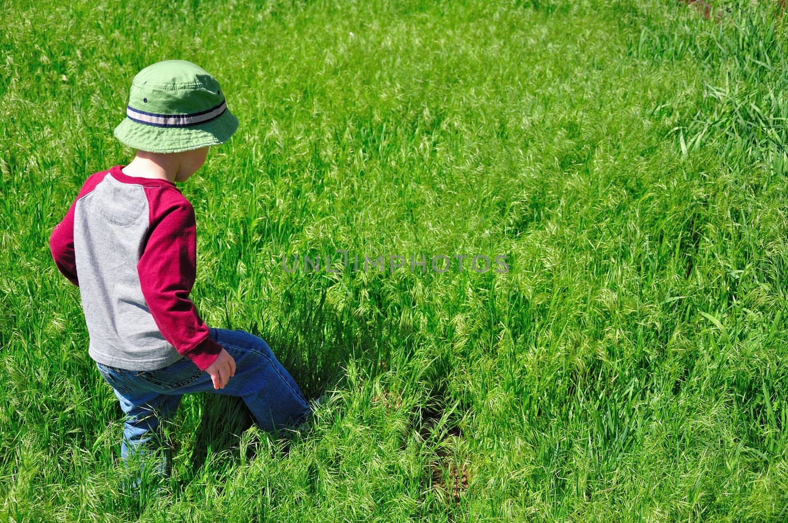 A little boy walks through a field of green grass in the summer in Colorado.