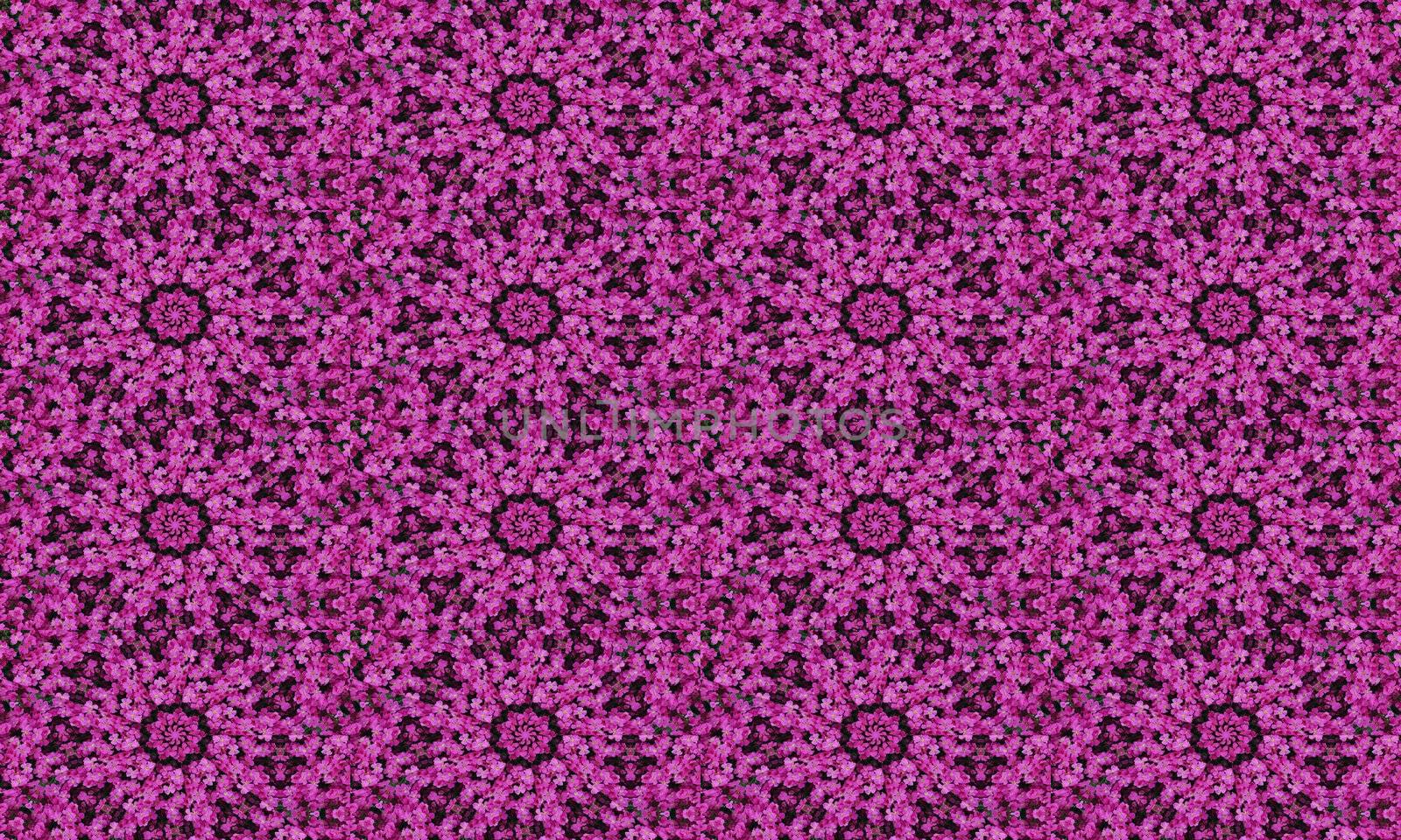 background/ tile based on a lobelia photo and with kaleidoscopic effect