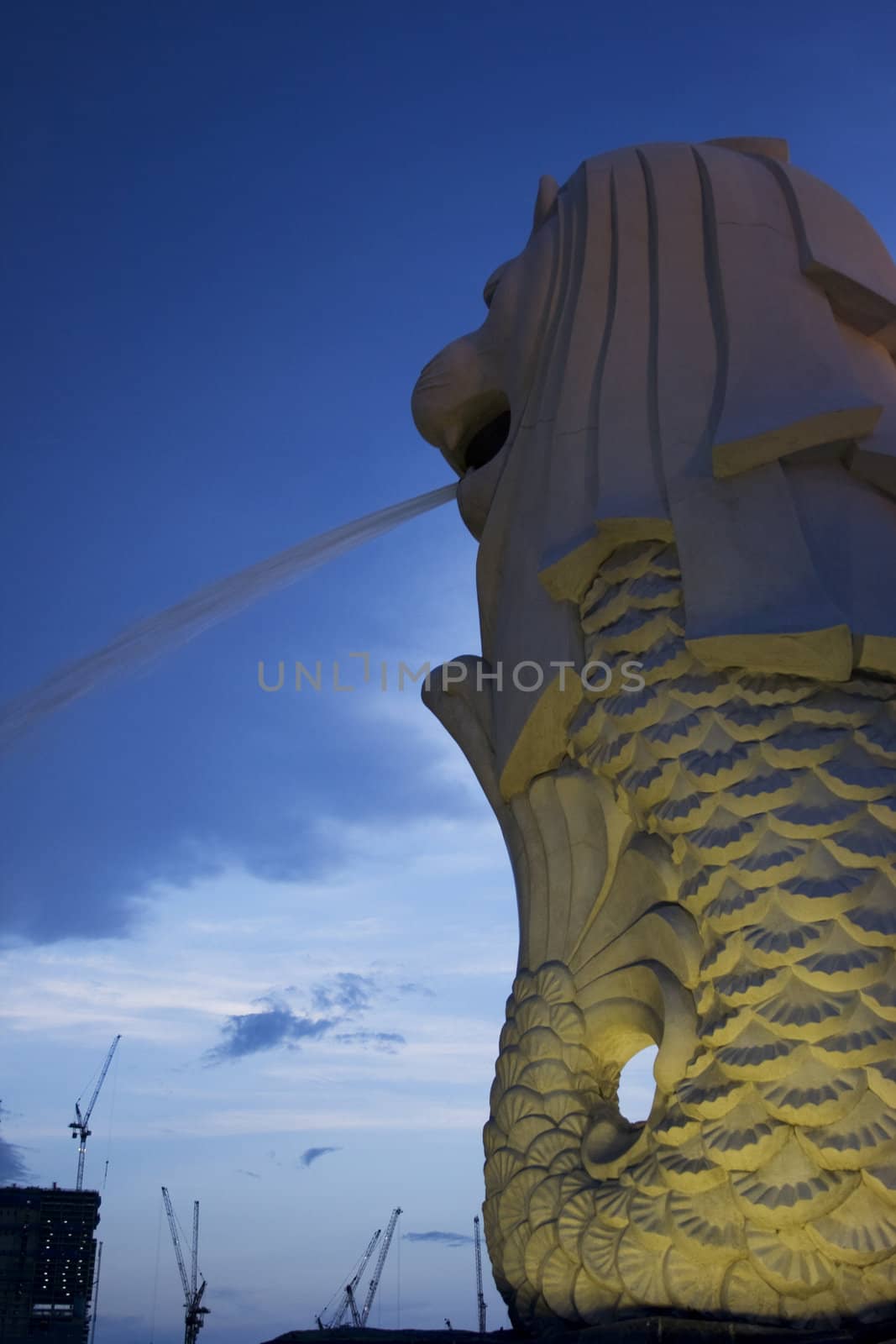 Close-up of Merlion, a symbolic statue or sculpture in Singapore. Background is the under construction IR, one of the casino.