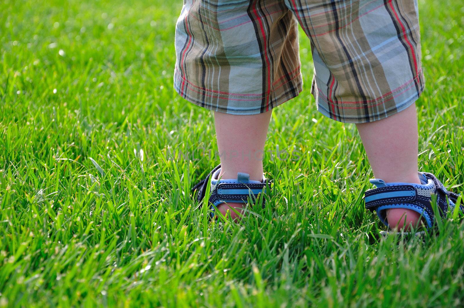 A toddler stands in the green grass on a summer day.