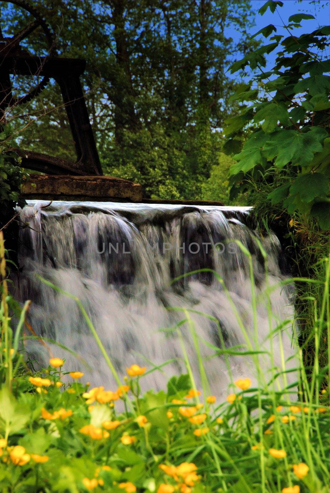 The waterfall at Hothfield Lake in Kent