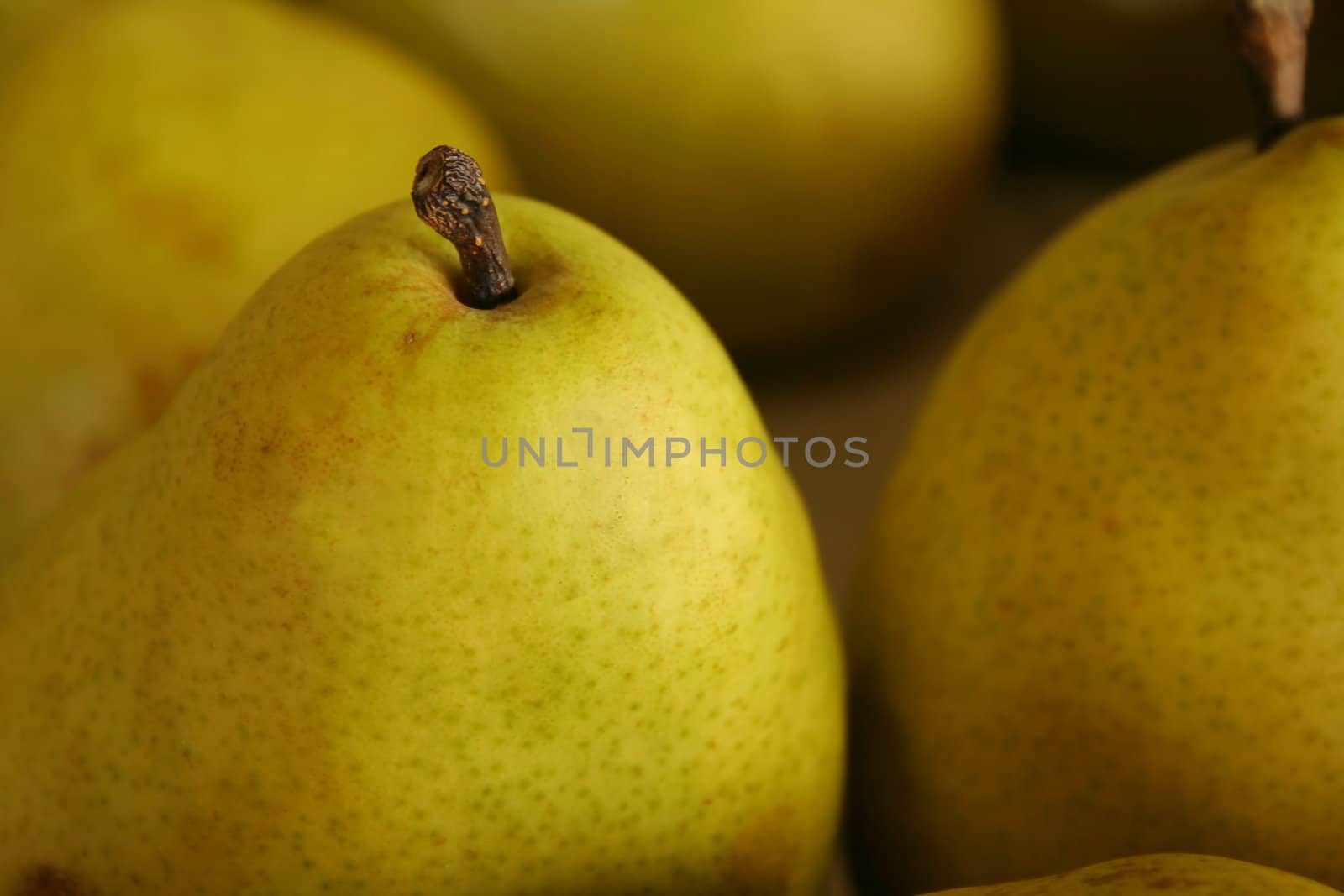 Fresh picked pears in a grouping for a background