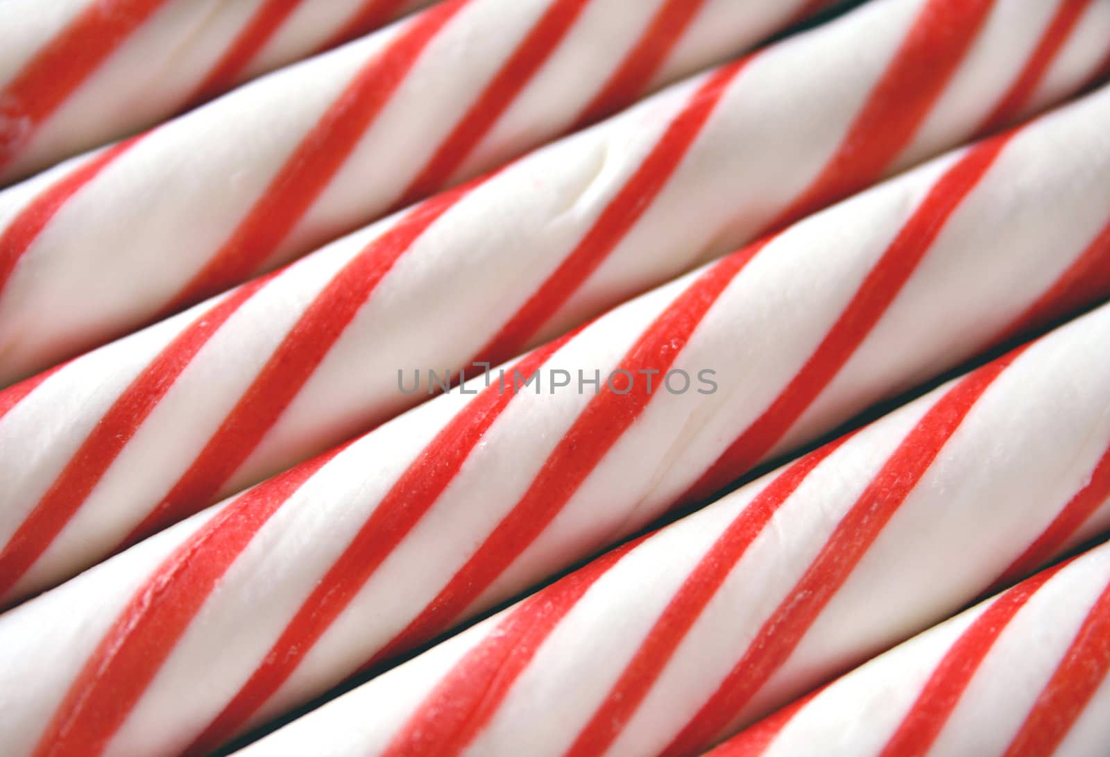 Christmas candy canes lined up


