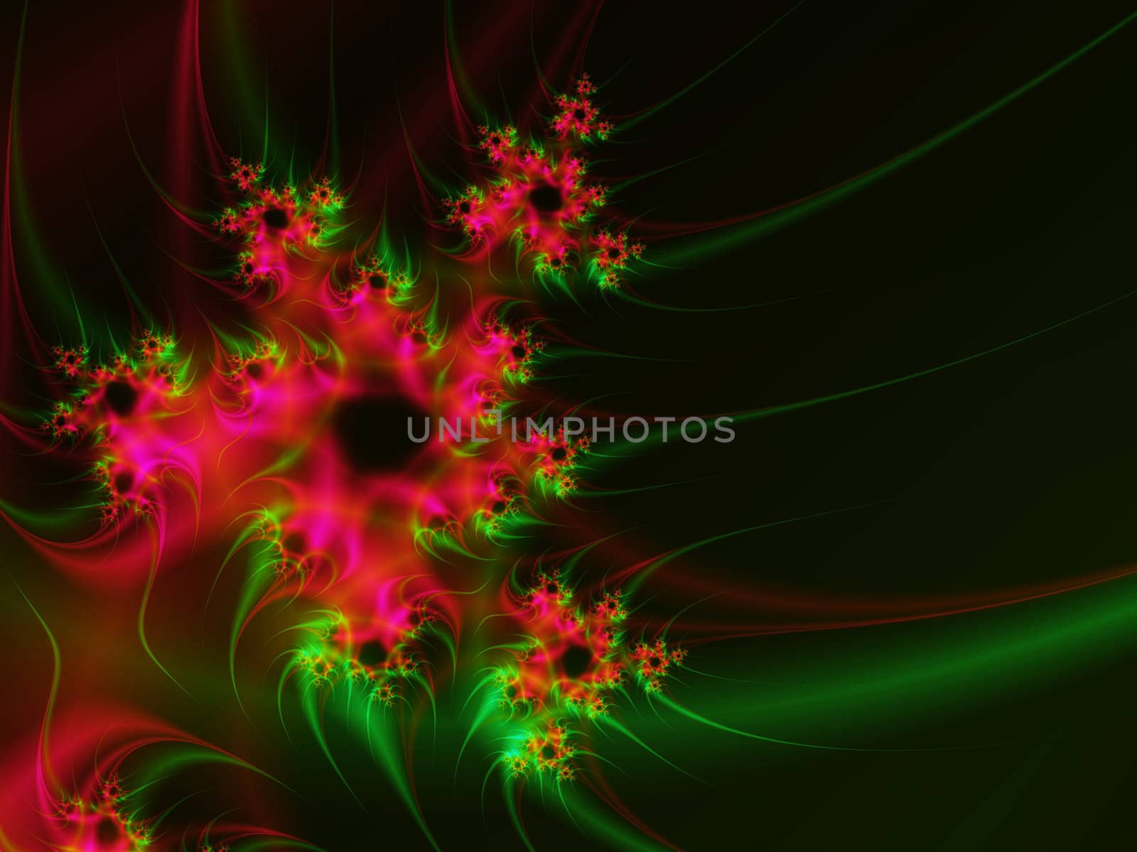 red green floral background over black, copy space on right side