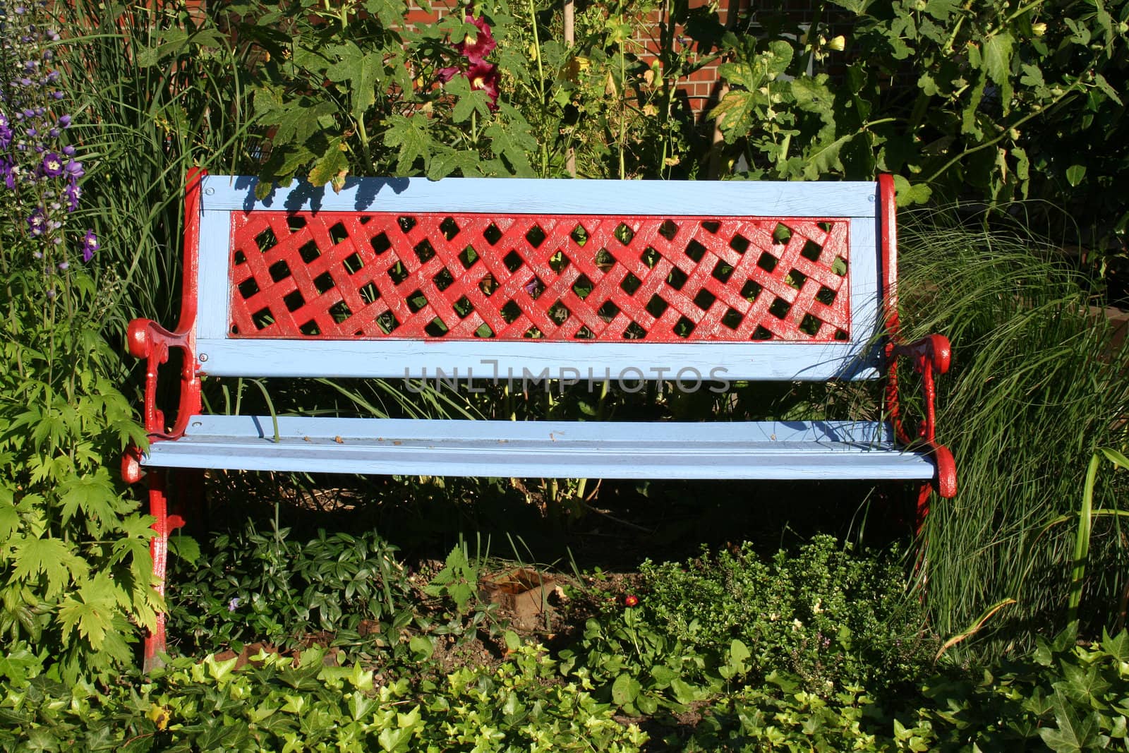 Colourful bench framed by green summer vegetation on a very bright afternoon in August.