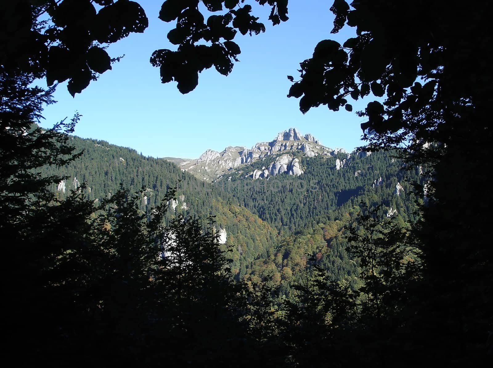 A Corner Of Paradise In The Carpathians