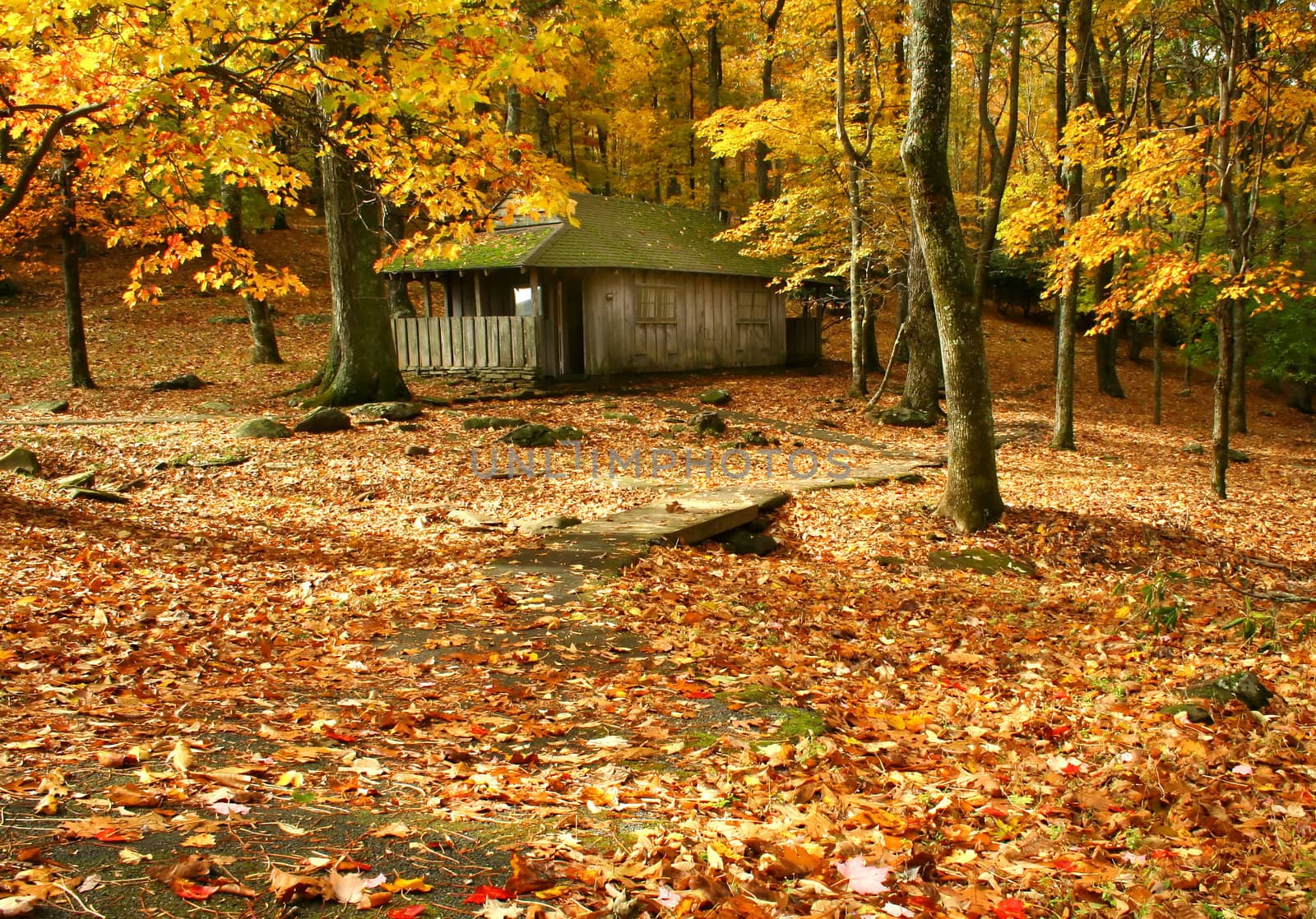 Fall image in the woods with restrooms

